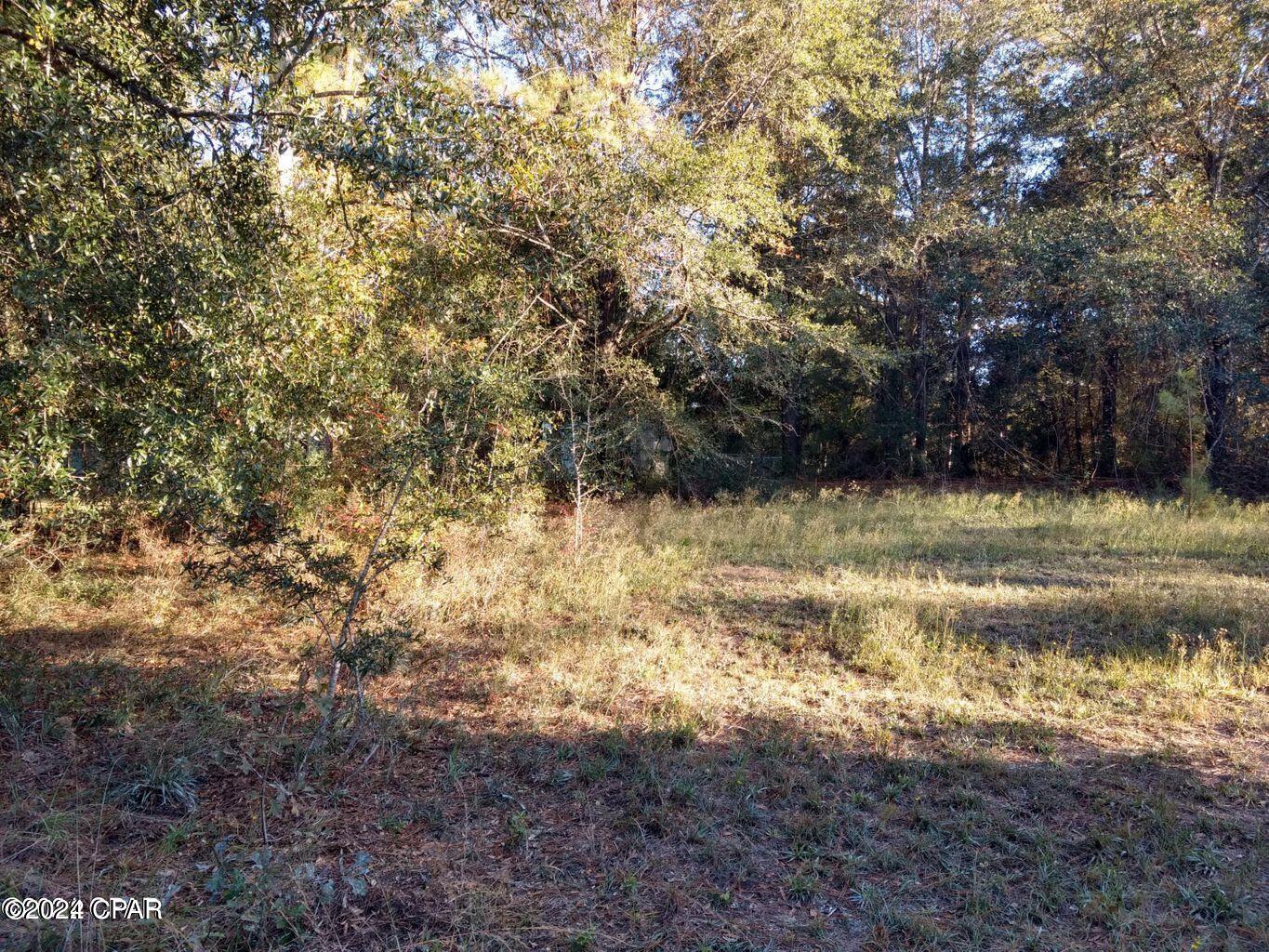 Nice building lot across the road from the Lake. Would make a great place to build your new home. Also fronts on the golf fairway. This is a beautiful 18-hole golf course with great rates. 52-acre Lake with some great fishing and public boat ramp. All this and only about an hour from Panama City Beach, Fl.