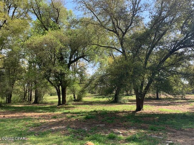 Rare Opportunity& Fully Operational! This 374 Acre multi-operational farm is truly one of a kind. This rolling hill property is perimeter fenced and cross-fenced, in addition to pastureland boasts  multiple ponds, and is scattered with beautiful live oaks and hardwoods. The current Holistic Operations include Grass Fed Cattle, an Olive Grove, and Pine Forestry. Why buy raw land and wait 5 years for your Holistic certification, this Farm is the complete package with contract Staff & Seller consultation included. Over a mile of Interstate 10 frontage, and is within an hour drive from Panama City Beach and Beaches International airport. Schedule your showing today on this absolute gem of a property!