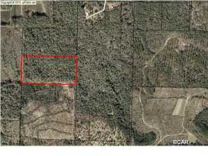 Here it is! BANK OWNED! 20 Acres of land in Washington county is said to have mature timber on the property. Whether you want to buy and hold, or build on your little compound, this property is perfect. It is priced to move fast, so call today before it is gone. Buyer to verify all information.