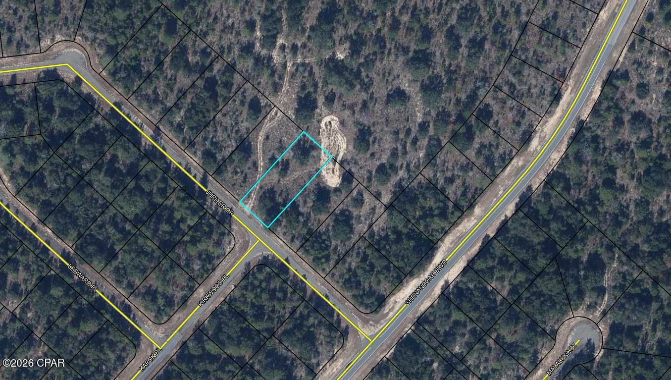 Slightly oversized building lot in the growing community of Sunny Hills. Sunny Hills is a deed restricted (No manufactured Homes) community with a popular and affordable 18 hole public golf course. Located approximately 25 miles from Panama City and 18 miles south of Chipley and I-10. There are several national builders working in this community to accommodate the growth pushing north out of Panama City. If fishing is your thing, there are dozens of fine fishing lakes in the community. Great opportunity to invest in the future of the Florida Panhandle. Seller also has 5 other lots and would like to sell as a package.