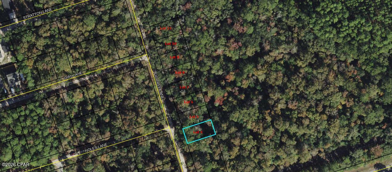 Vacant lot available on Fig Tree Ln in Crawfordville. Great opportunity for builders or investors in a growing area. Convenient and peaceful location just a short drive to the coast. Note: This listing is for one lot. A total of eight adjoining lots are available for purchase.

Buyer to verify all measurements, lot dimensions, and any information deemed important.