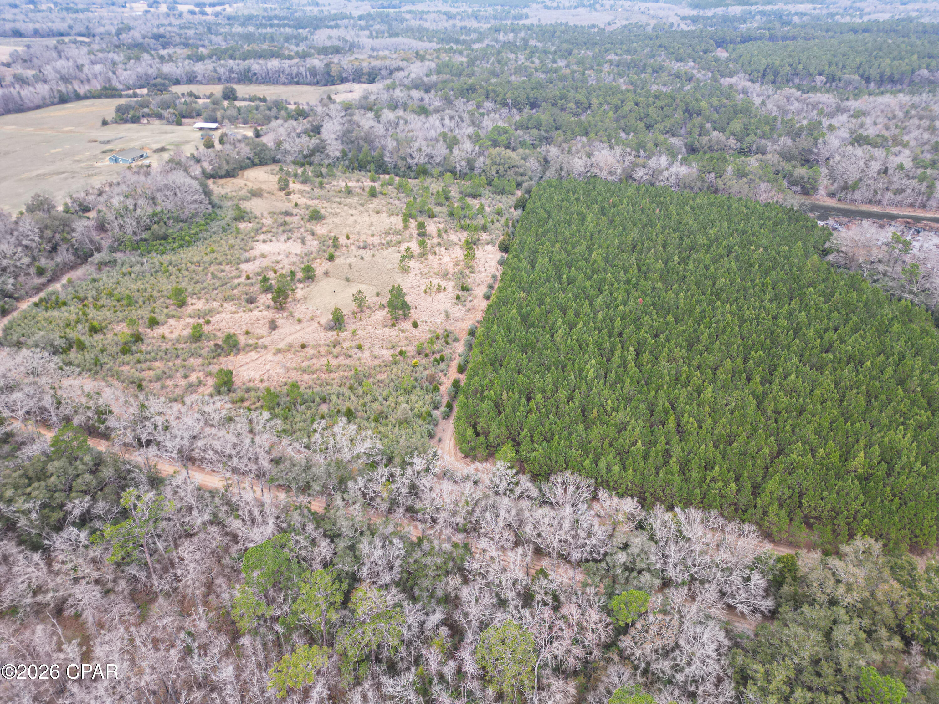 Beautiful acreage! If you've been searching for acreage where you can build on your terms, this 30± acre tract on Stanley Road in Holmes County offers flexibility and privacy in a quiet rural setting. Properties of this size -- unrestricted and accessible -- are becoming harder to find in today's market.
Stanley Road, a county-maintained dirt road, runs through the south end of the property, providing convenient access across the tract. Approximately 25.5 acres lie north of the road, with the balance to the south. This division creates practical options -- build your home on one side while preserving the other for recreation, additional family homes, pasture, or simply added privacy.
The land is unrestricted, giving you the freedom to build a site-built home, place a mobile home, establish a family compound, or create a small farm. Numerous high-and-dry locations offer excellent homesite potential. Portions of planted pine combined with mixed cover provide natural privacy, while areas of volunteer growth make it easier to clear for a homesite, expand trails, or convert sections into open pasture for crops, horses, or livestock.
An established trail system runs throughout the property, allowing easy access by foot or ATV. These trails make the land simple to navigate and maintain while also enhancing its recreational appeal. The habitat supports whitetail deer, turkey, and other small game common to the Florida Panhandle, making this an excellent hunting property as well as a future homesite.
Beyond the property lines, you're within reach of some of the region's best outdoor destinations, including the Choctawhatchee River and Holmes Creek for fishing and paddling, Ponce de Leon Springs State Park for spring-fed swimming, Lake Jackson for boating, and Blackwater River State Forest for public hunting, hiking, and camping.
Whether you're ready to build now or prefer to hold for the future, this 30± acre parcel offers the kind of  freedom, flexibility, and long-term potential that continues to grow in value.  Call today for a private showing.
Key Features:
Unrestricted 30± Acres
Multiple High & Dry Build Sites
Established Trail System
Strong Wildlife Presence
Suitable for Home, Mobile Home, Farm, or Recreation
*Bonifay, FL - 10 miles
*Panama City, FL - 50 miles
*Dothan, AL - 45 miles