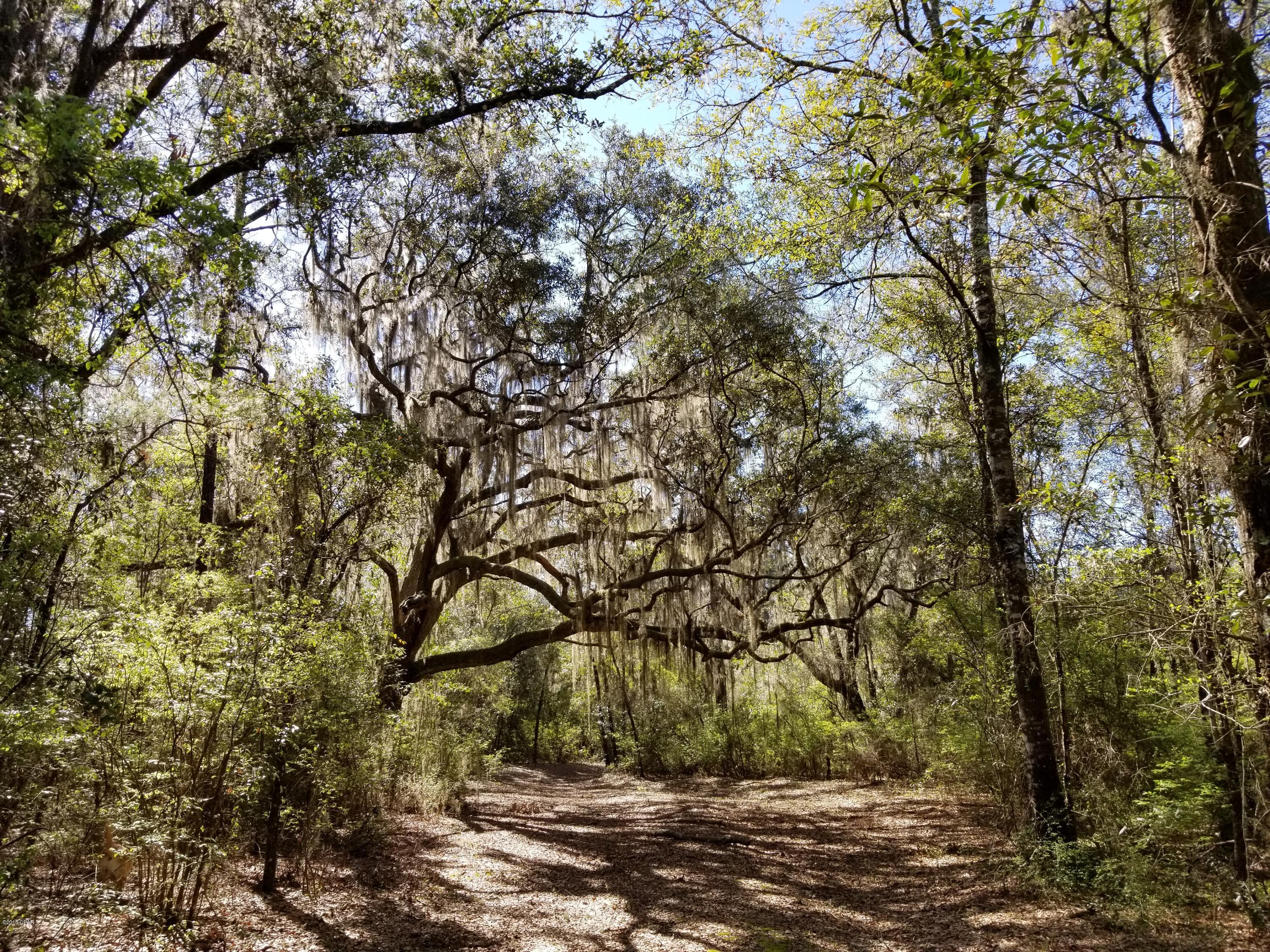 This is a beautiful waterfront, 2.5 acre homesite with lots of oak trees, 100' on Deerpoint Lake and County water available. It also would make a wonderful weekend getaway for your family and friends.