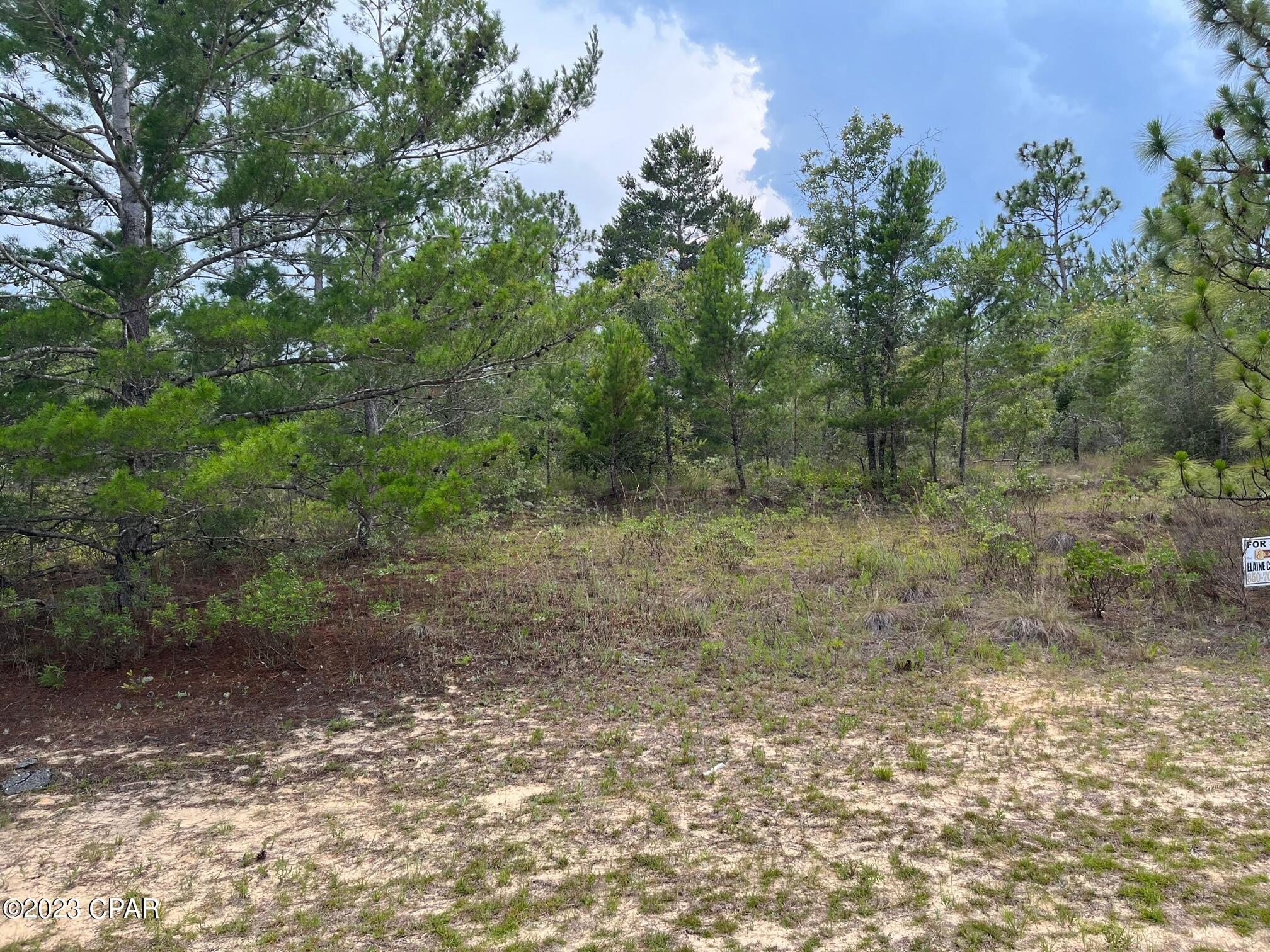 A new lot on market in Sunny Hills Subd, located between Chipley and Panama City.
DEVELOPMENT OF HOUSES HAS BEEN STARTED VERY NEAR TO THIS LOT IN THE SAME UNIT 19. Amenities include a popular golf course, beautiful lake for public swimming, many lakes for fishing in the area. These lots in subdv. are restricted to stick- built homes. No mobile homes are allowed. Please check for availability of water and power.