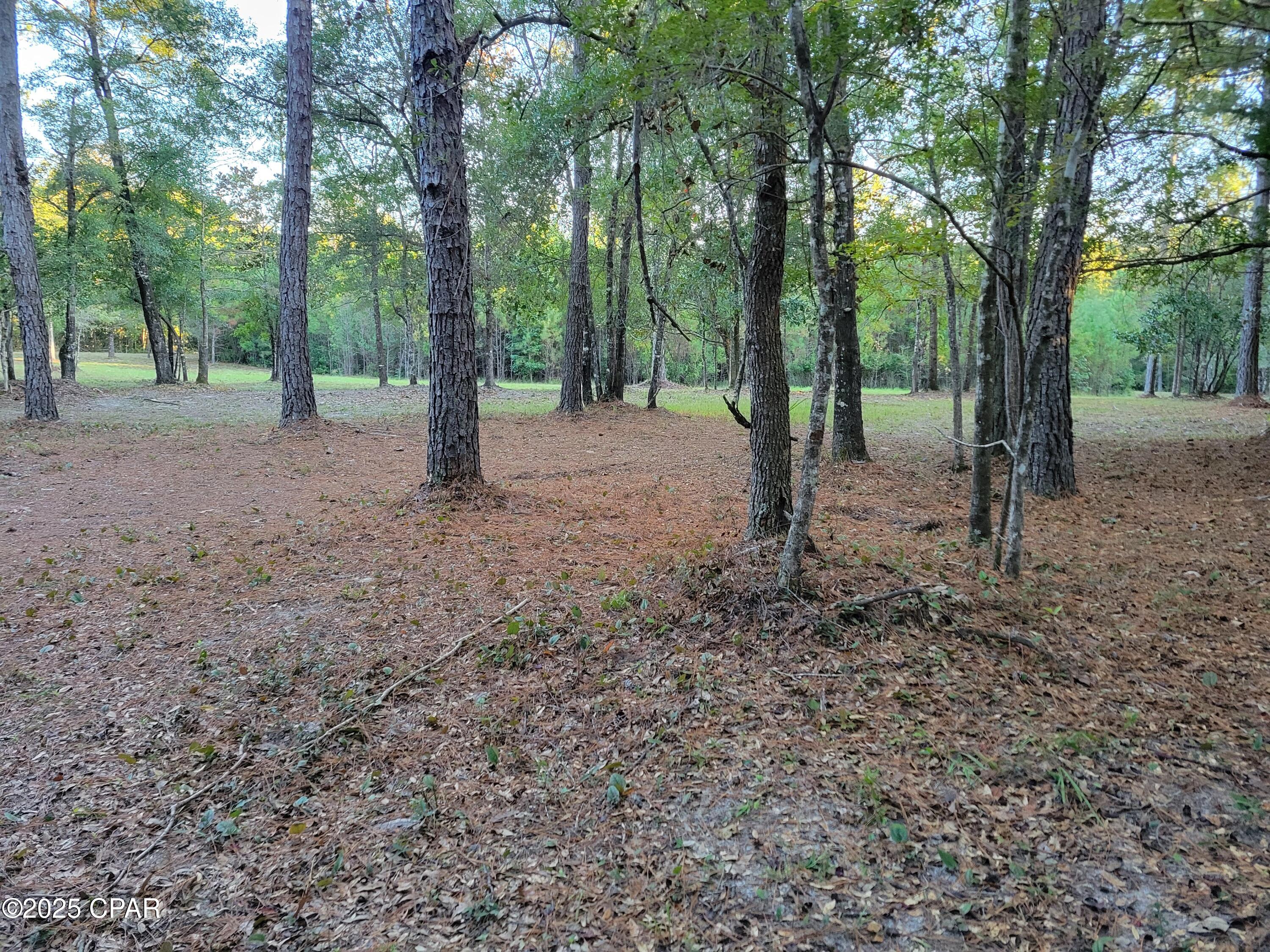 Escape to 40 acres of peaceful countryside in beautiful Ponce de Leon, Florida—the perfect retreat for outdoor enthusiasts and nature lovers. This property offers prime deer, turkey, and duck hunting, as well as excellent fishing in Bruce Creek.

With plenty of open space for horseback riding, boarding, or creating your own hobby farm, the possibilities are endless. Imagine planting your own fruit orchard or large garden, surrounded by the quiet beauty of Northwest Florida. Whether you're dreaming of a rustic cabin getaway or planning your forever home, this property offers the privacy, recreation, and natural beauty you've been looking for.