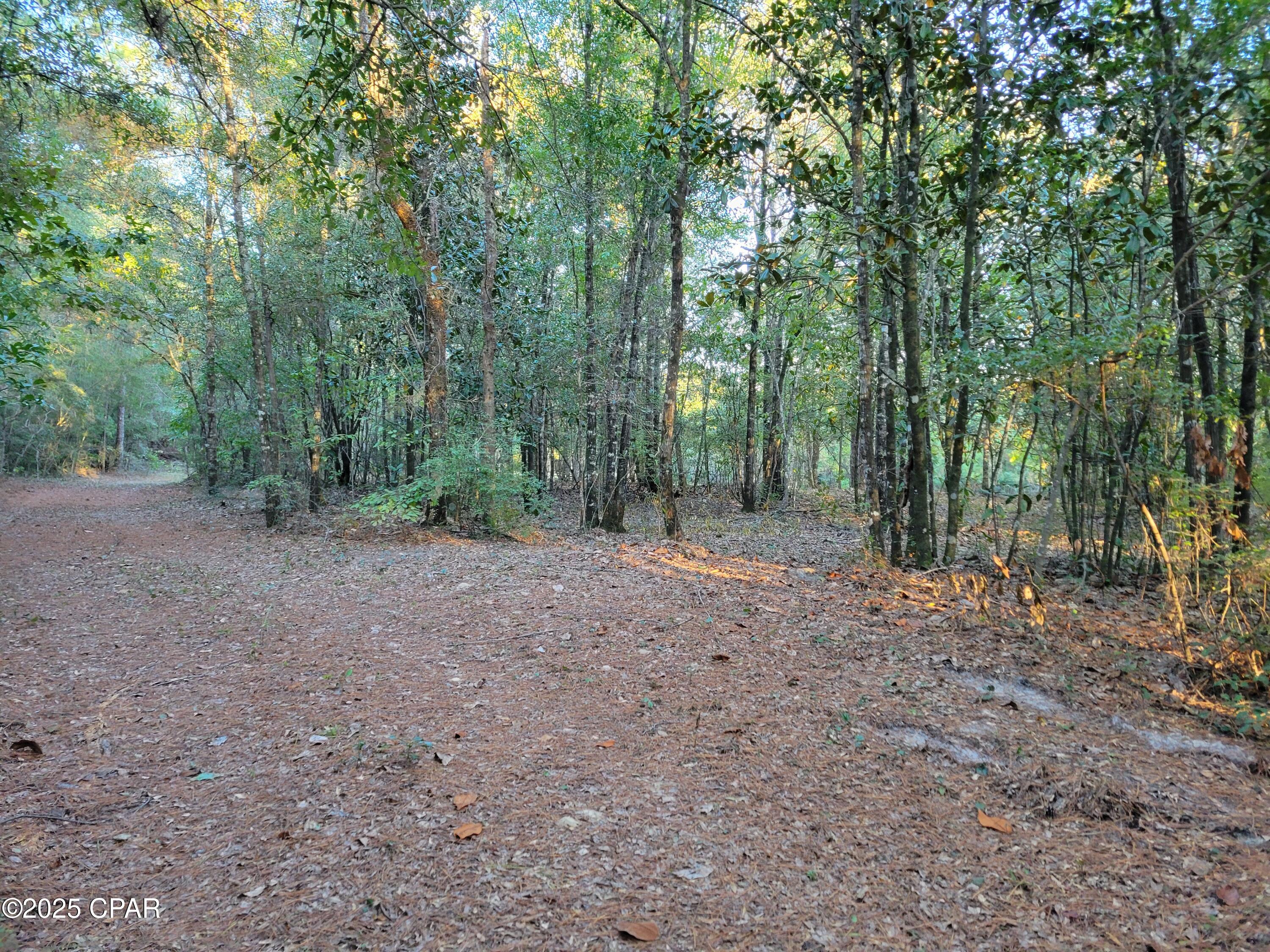 Other - Land