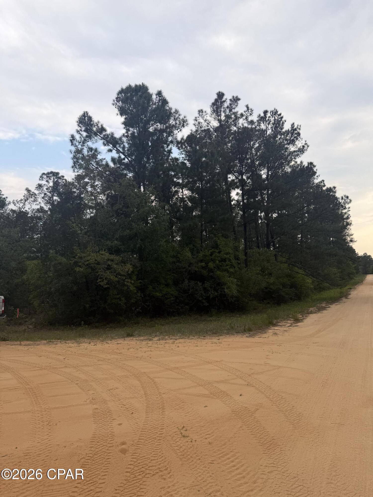 Tucked away approximately 400 feet off the highway, this peaceful and private parcel offers the perfect setting for  your dream home. Featuring gorgeous mature hardwoods and high, dry land, this property is ready for your vision. Enjoy the serenity of country living while still being just minutes from town, shopping and conveniences. 
The best of both worlds, quiet, natural surroundings with easy access to everything you need. Don't miss this opportunity to create your ideal home place!
 Seller will consider clearing the property with strong offers. All measurements are to be confirmed by buyer.