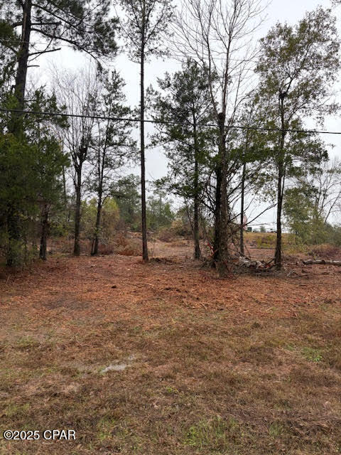 Build your dream home on this residential lot that's already surveyed and cleared for construction. Centrally located near schools, Chipola College, the Chipola River for fishing and boating, Citizens Lodge and Florida Caverns State Park for walking and hiking trails, Jackson Hospital, and a variety of shops and restaurants. Nestled in a quiet, well-kept neighborhood on a paved road, this property offers convenience and peaceful living. Whether you're ready to build now or looking for an investment opportunity in Marianna, this is an excellent place to start.