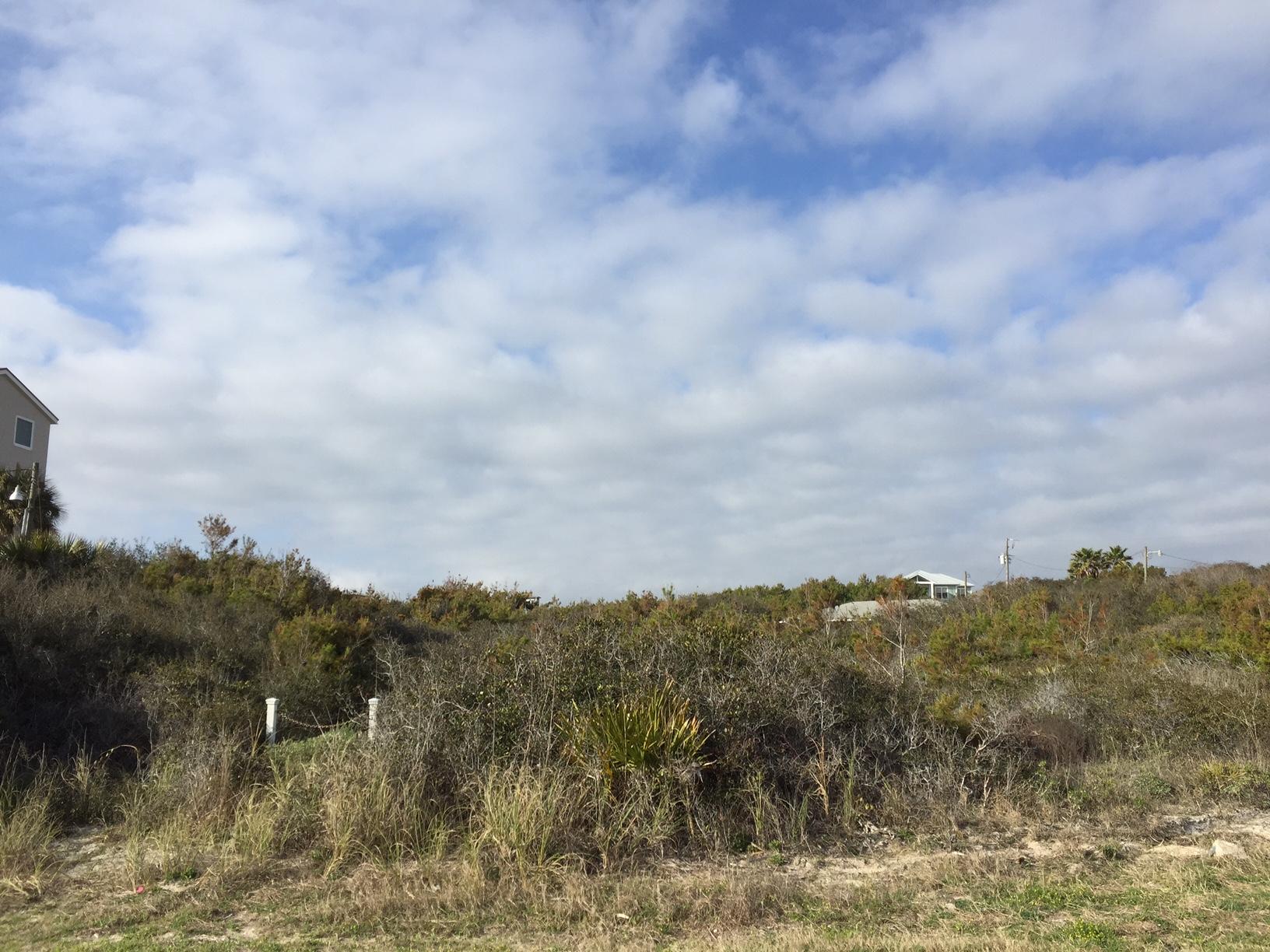 INLET BEACH - Land