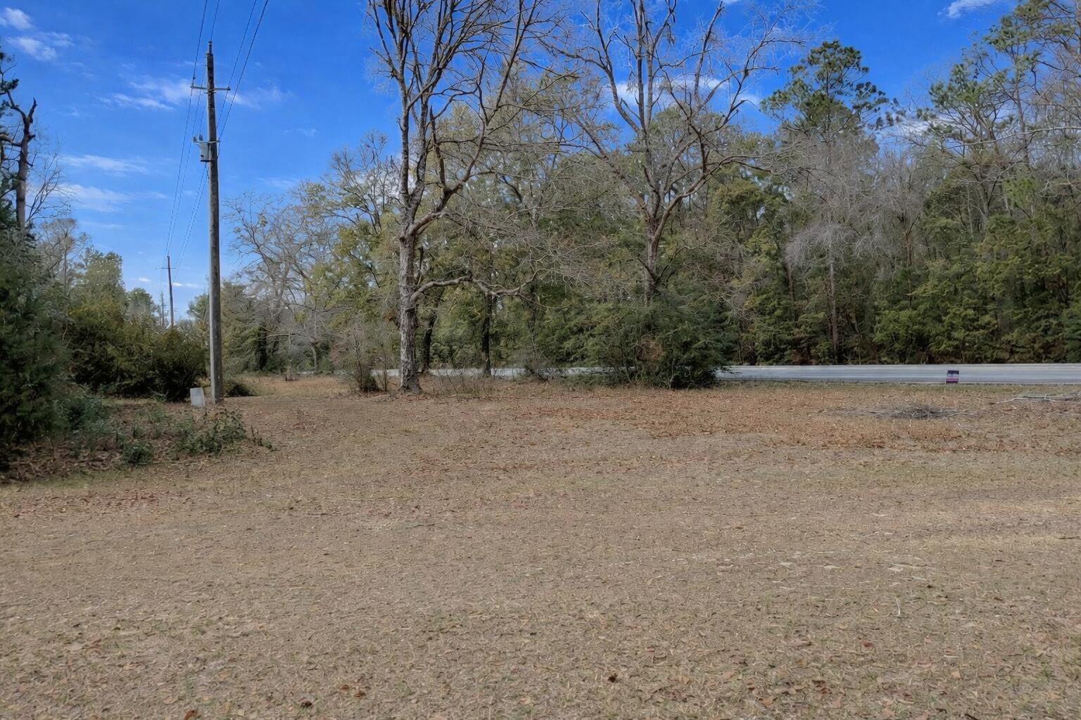 This is a great property with unlimited possibilities for your dream home or whatever you envision. Whether you're looking to build a custom retreat, an investment property, or a place to put down roots, the potential here is truly endless. Bring your ideas, your plans, and your vision -- and turn this space into something uniquely yours. Well is about 8 years old. This property features a beautiful variety of mature fruit and nut trees, including chestnut, pear, apple, plum, mulberry, and blueberry -- offering charm, seasonal harvests, and endless enjoyment right in your own yard.