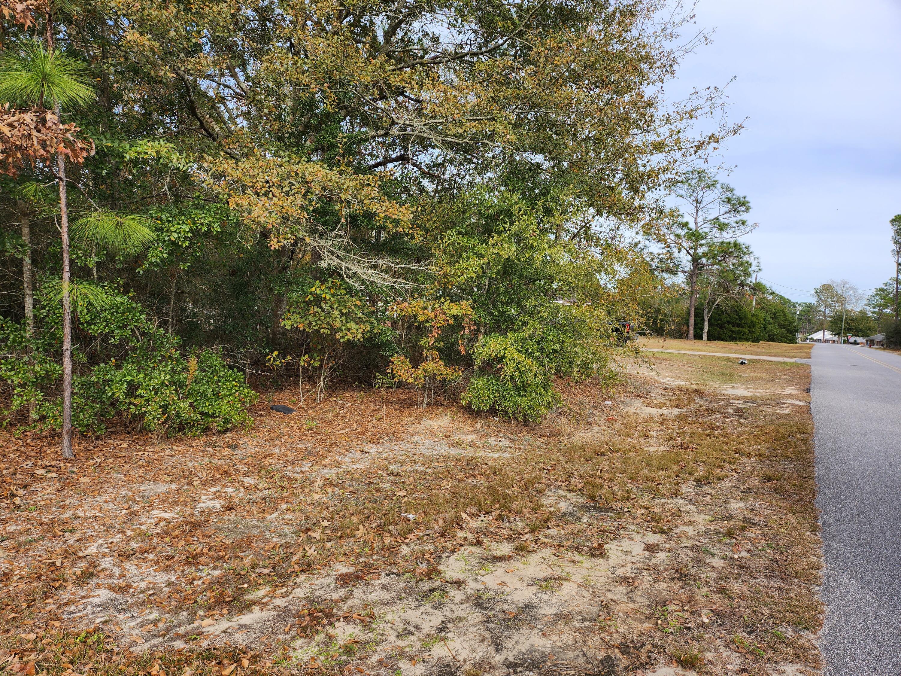 All measurements should be verified buy a survey. Lot has beautiufl hardwoods trees and access to lake. Ten Lakes Estates is a beautiful neighborhood and offers 10 lakes to go fishing on. Minutes to shopping and the Historic Defuniak Springs area. There is a voluntary HOA at $100.00 per year.
