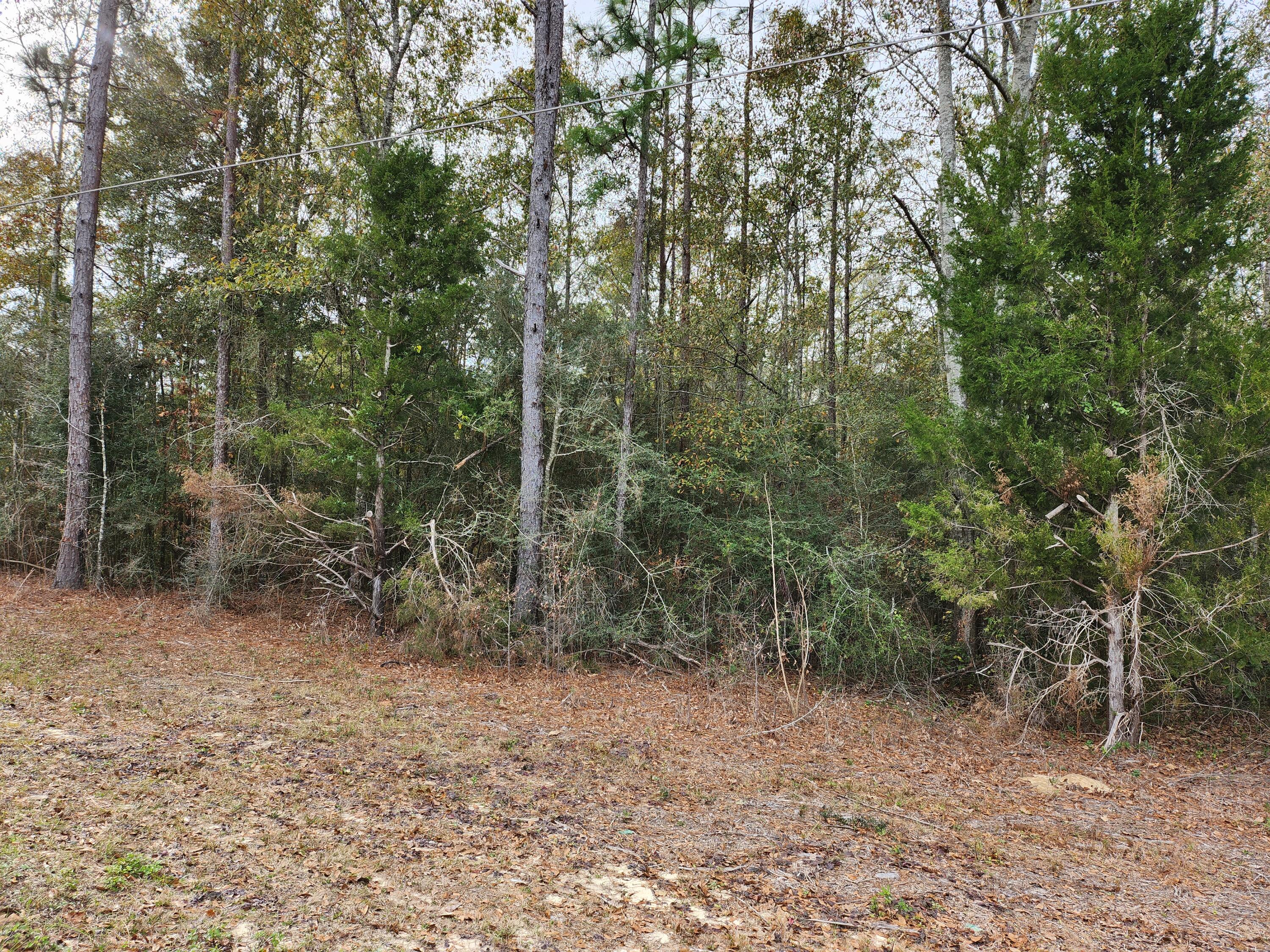 10 Lakes Estates - Land