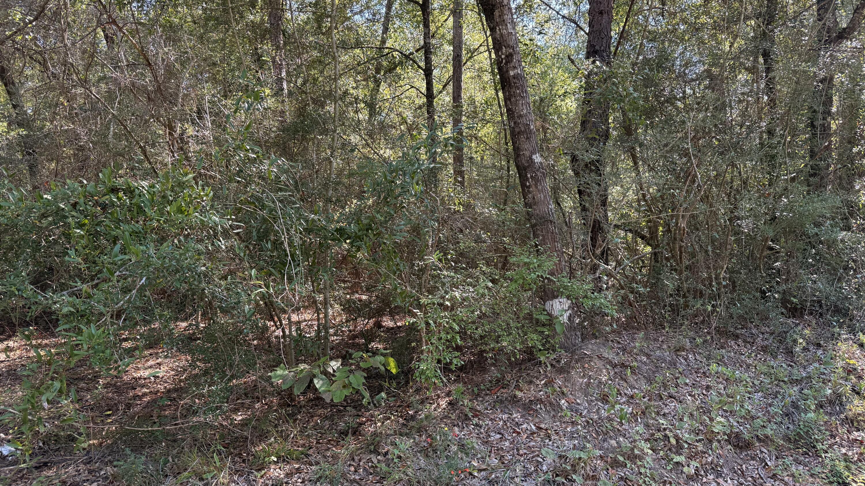 Looking to build? One acre lot available  with water tap already paid. County taxes. Give me a call today to see this gem.