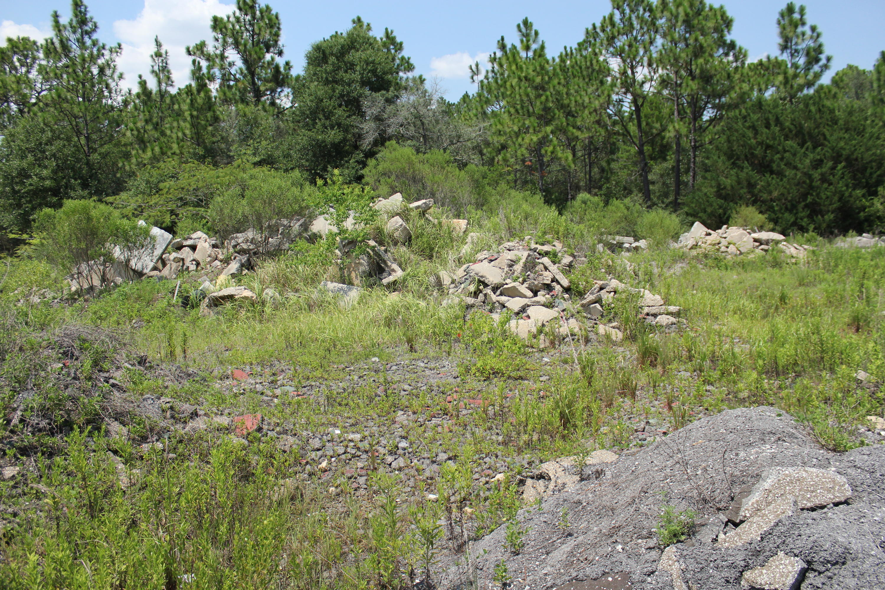 N Beal Extension - Land