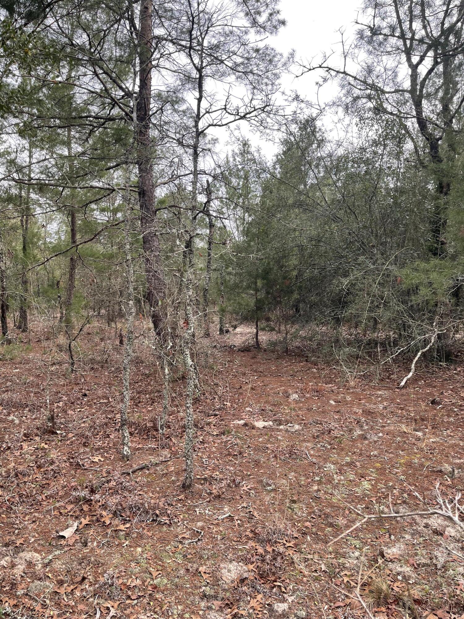OAKWOOD HILLS UNIT 3 - Land
