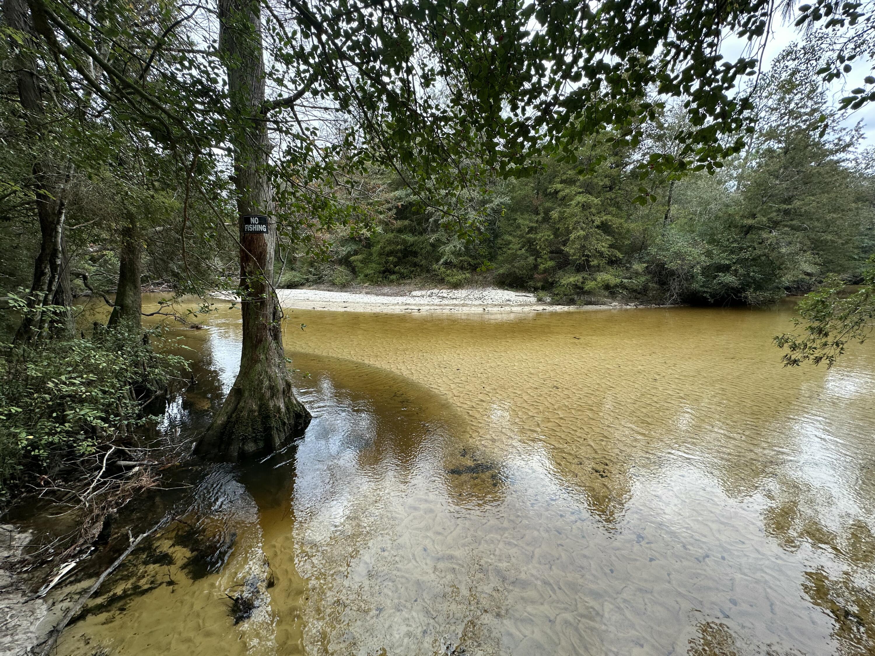 Outdoor Adventure Awaits!!!

This 22 AC+/- property is loaded with mature Hardwood Trees, a camp shed, and so many feet of Creek front footage along pristine Pond Creek. 
Great potential for not only a home, but also a small hunting/recreation camp. 

Bring your horses, atvs, your boat and your adventurous side.