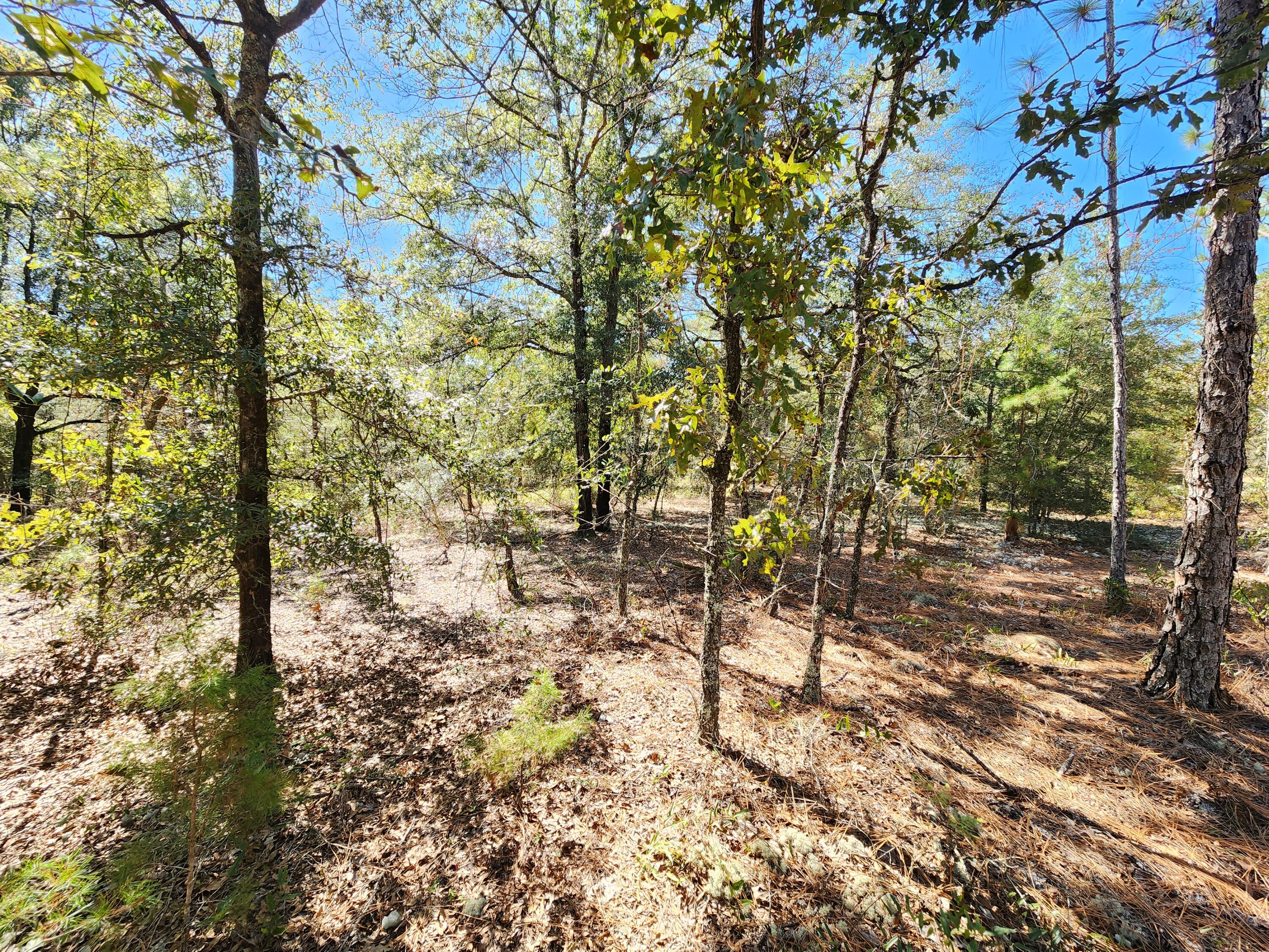 OAKWOOD HILLS UNIT 2 - Land