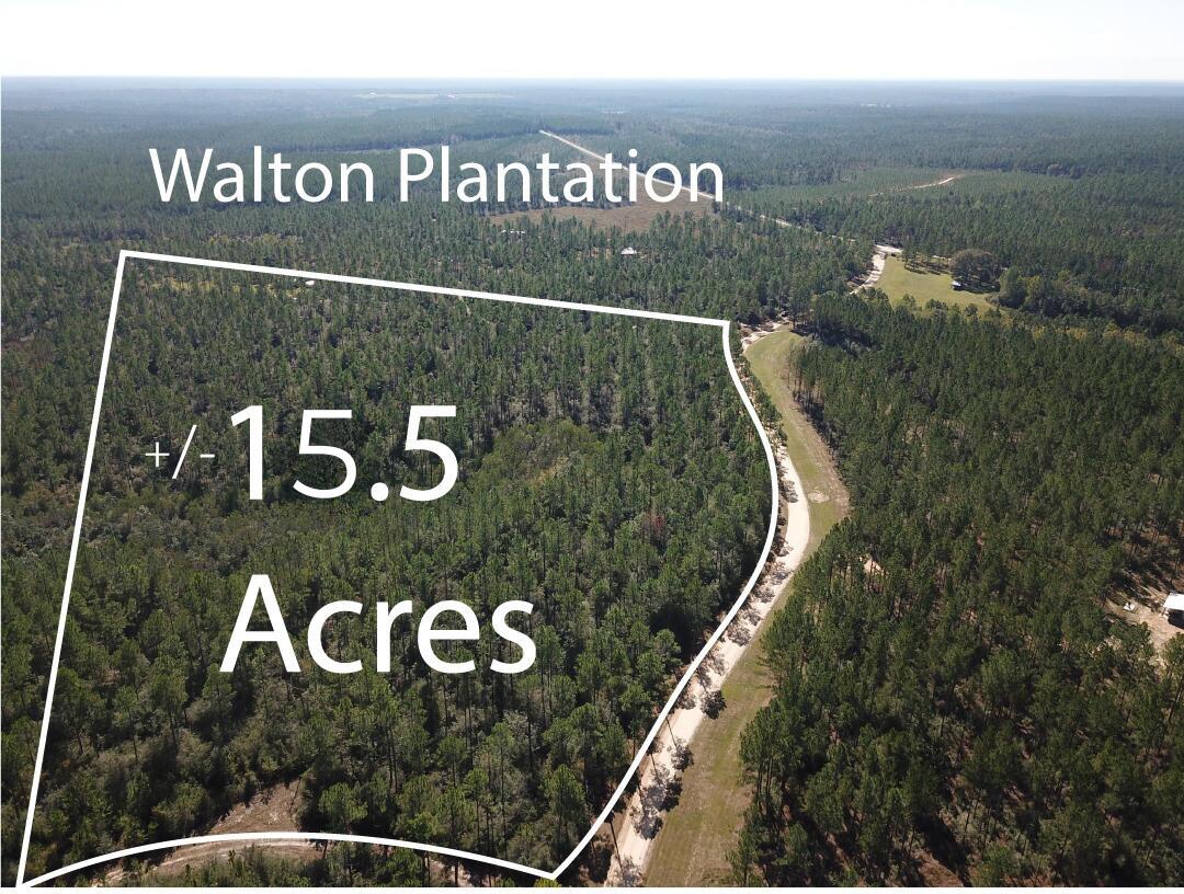 WALTON PLANTATION - Land