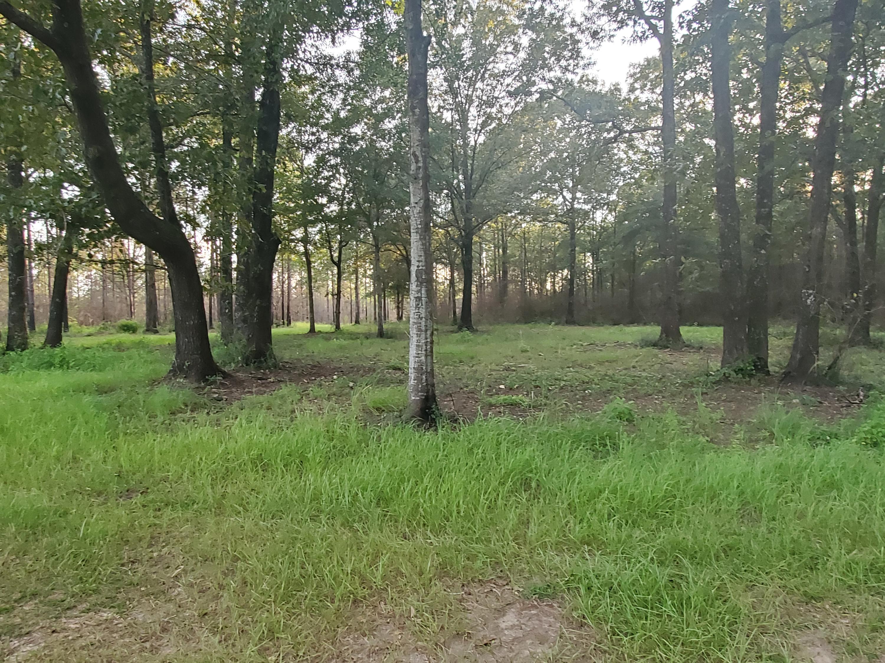 LAUREL HILL - Land