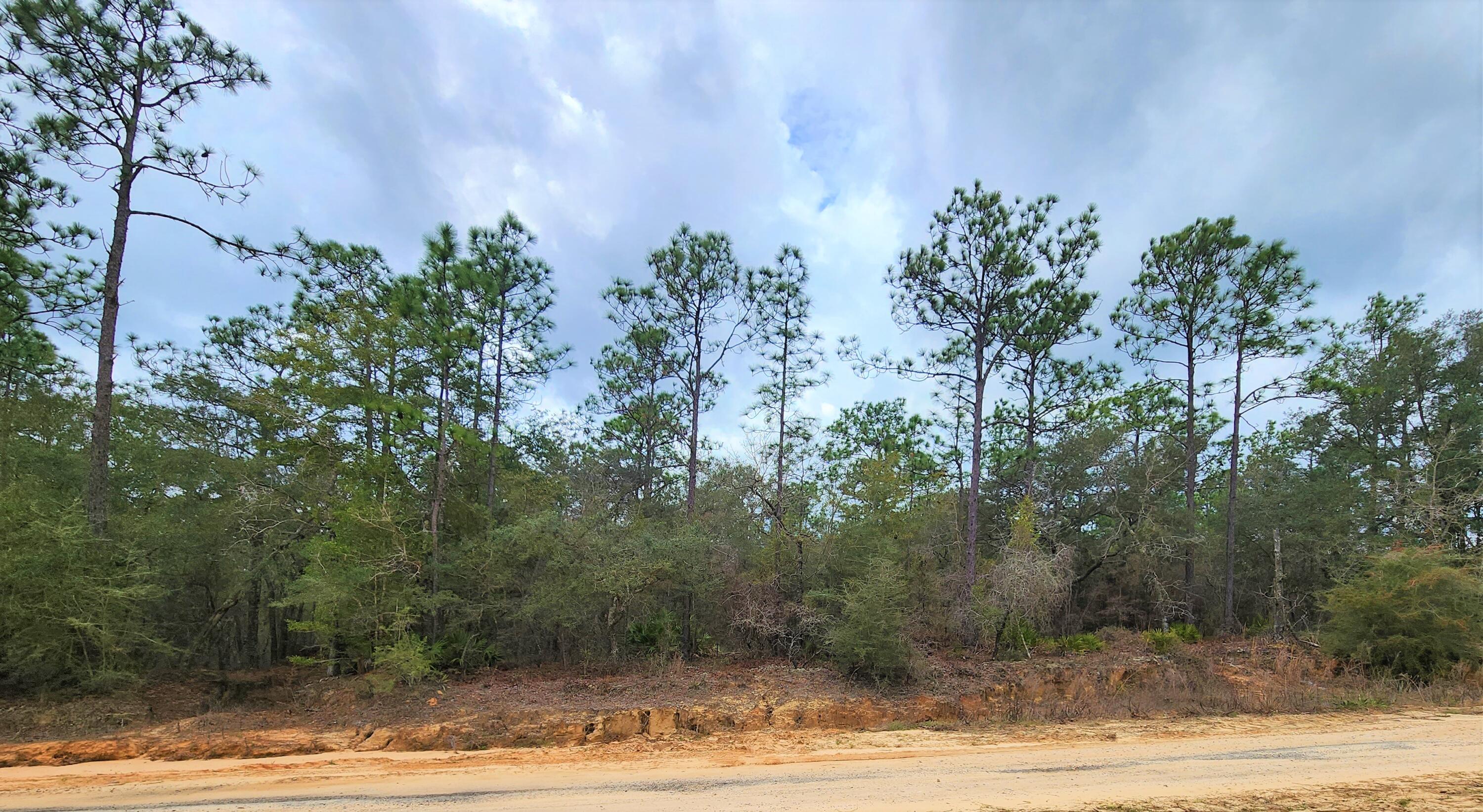 Welcome to your dream building lot - a serene oasis nestled in the heart of peaceful countryside living! This 2.38 acre plot of land offers the perfect canvas for your future home, a tranquil retreat that's just a stone's throw away from the bustling I-10 highway. You'll have plenty of space to create your own private paradise. Located on Hiawatha St, a private road maintained by annual dues, you'll be able to enjoy the quiet and peaceful atmosphere while still being within a few miles of I-10.
