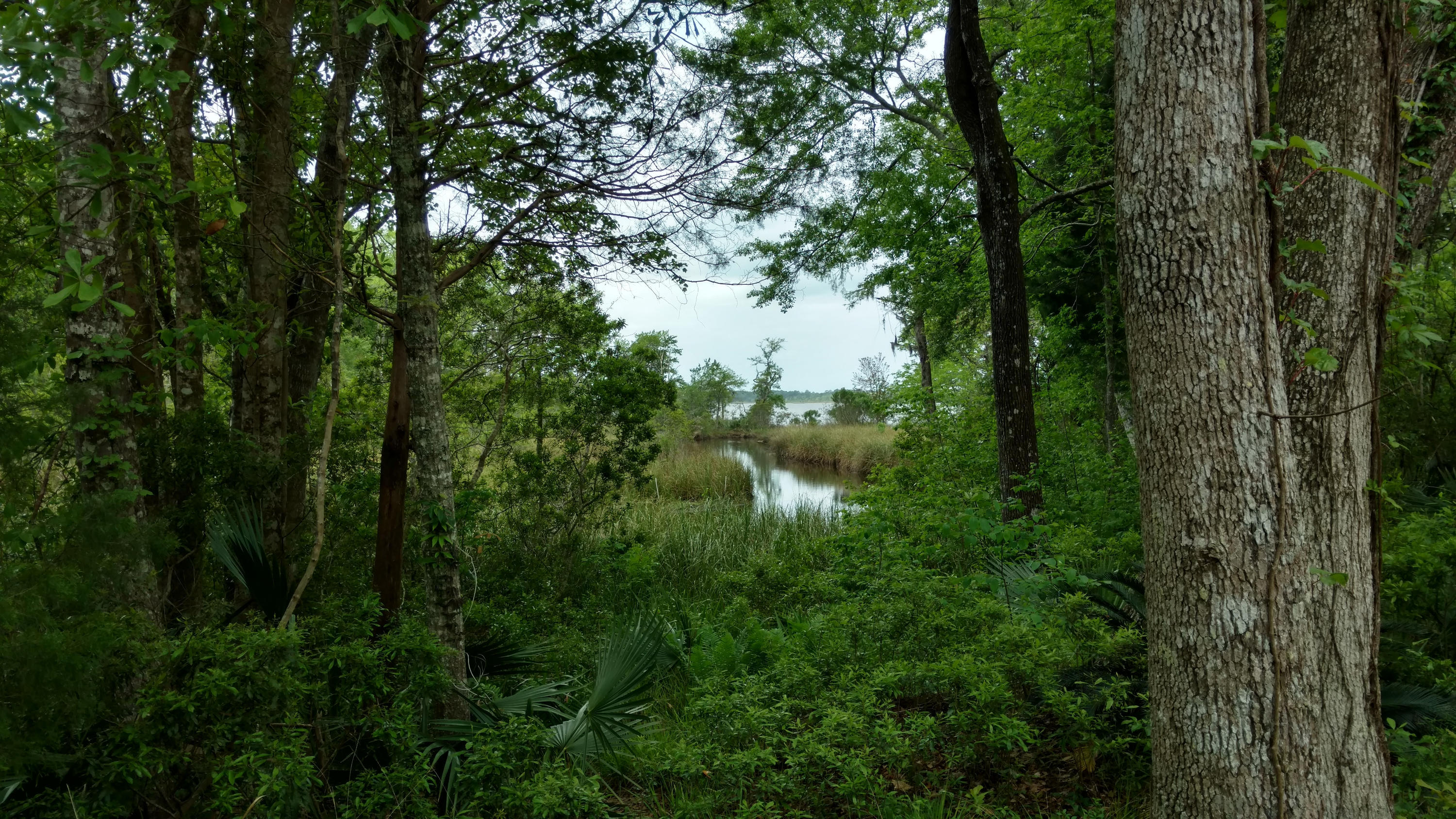 WATERVIEW COVE - Residential