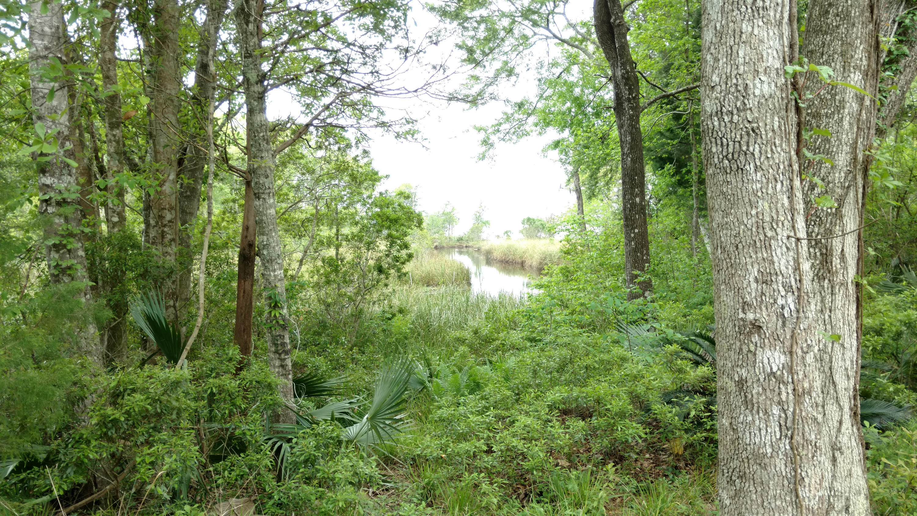 WATERVIEW COVE - Residential