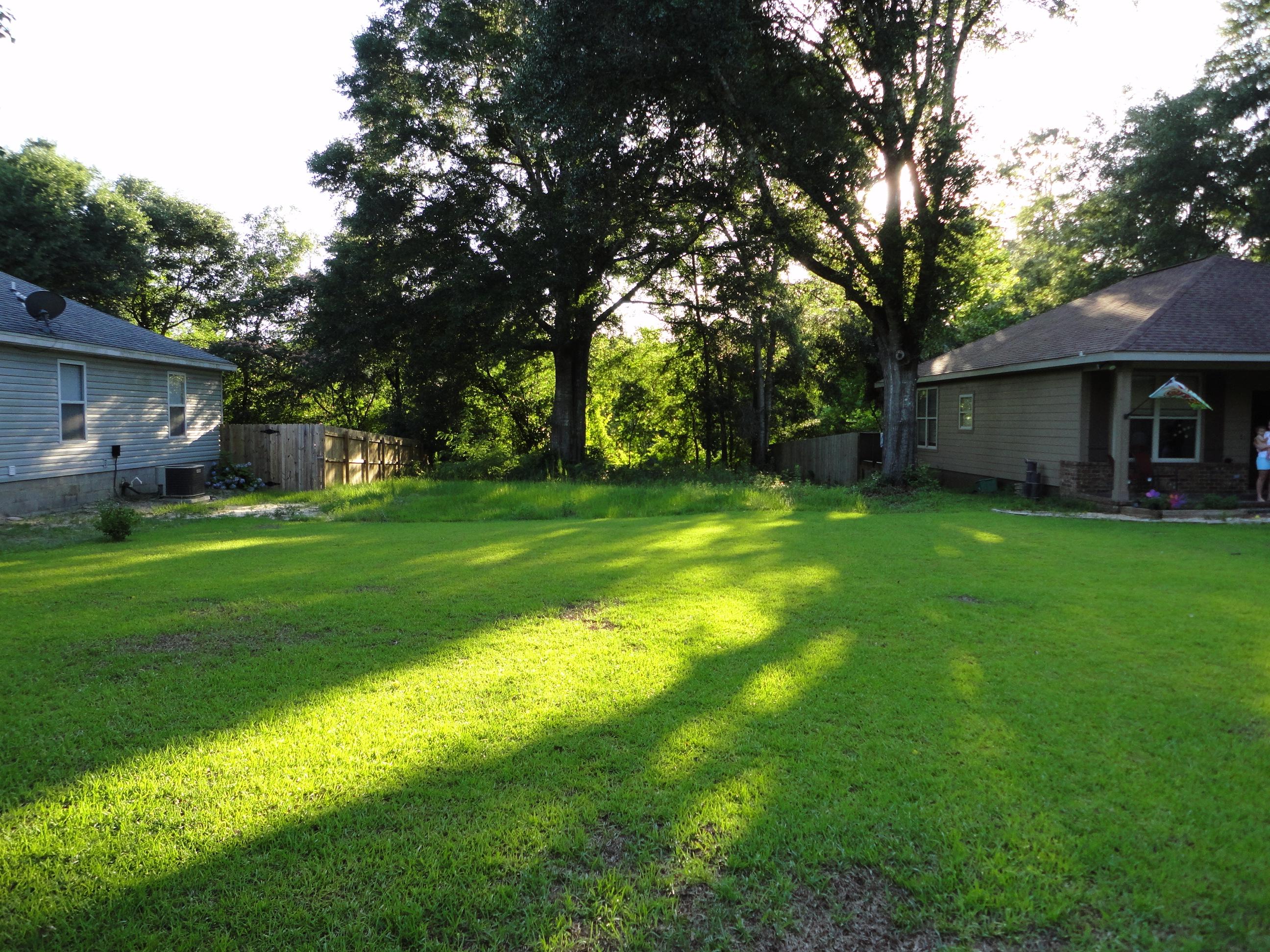 Beautiful lot on a quiet street - the front part is cleared and ready for a new build; the back part is wooded and shady.