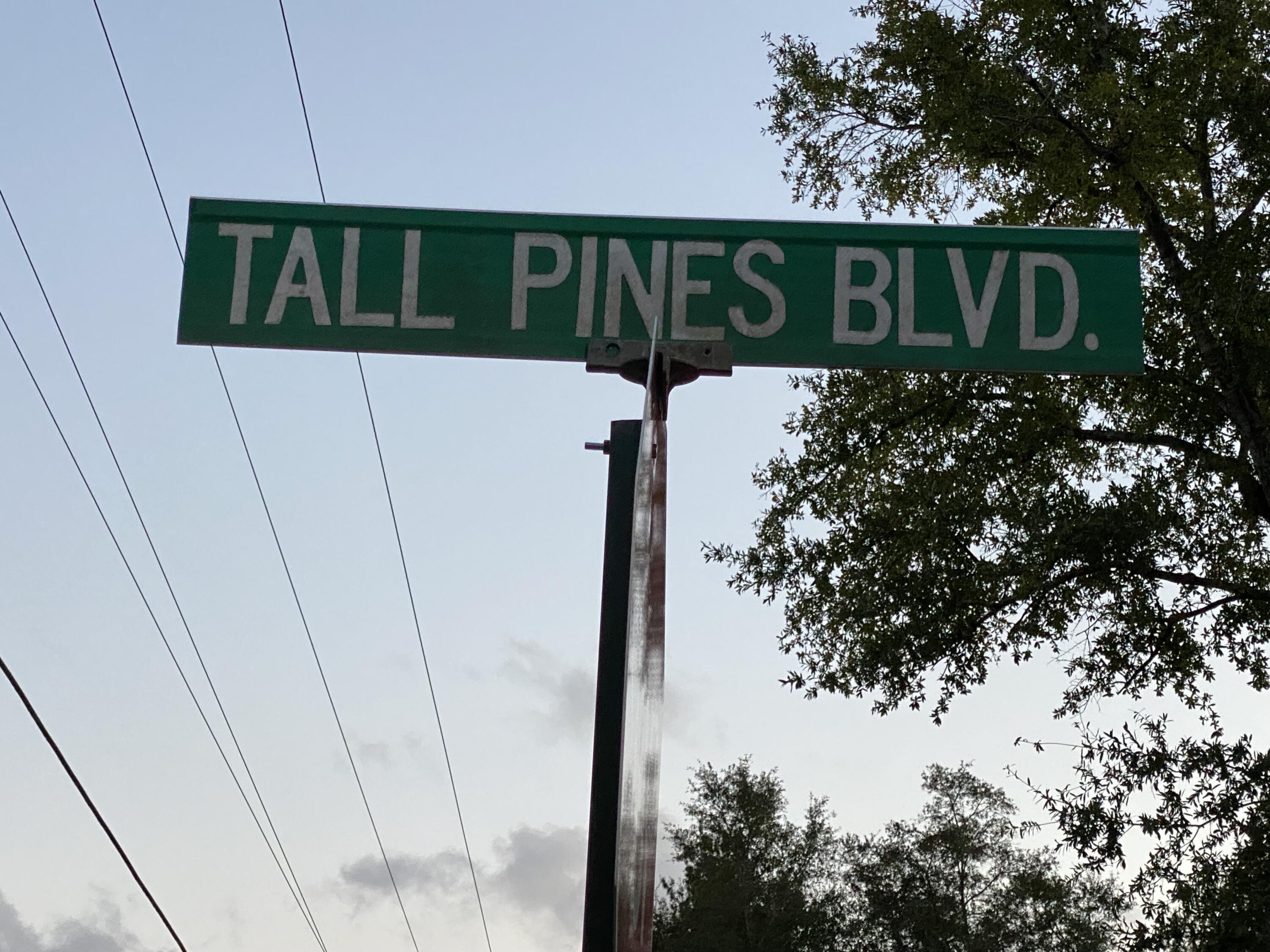 JUNIPER LAKE PINES - Residential