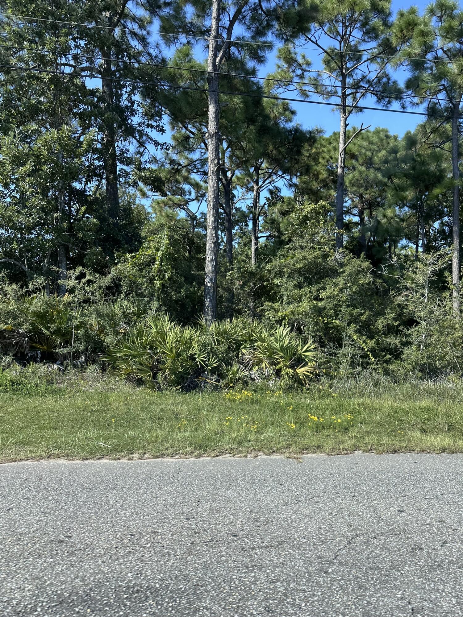 .459 wooded acre lot. Almost half an acre in the heart of Navarre! Build your dream home here and you will be minutes away from Navarre Beach, shopping, schools, restaurants, and much more. All utilities available  X flood zone.
