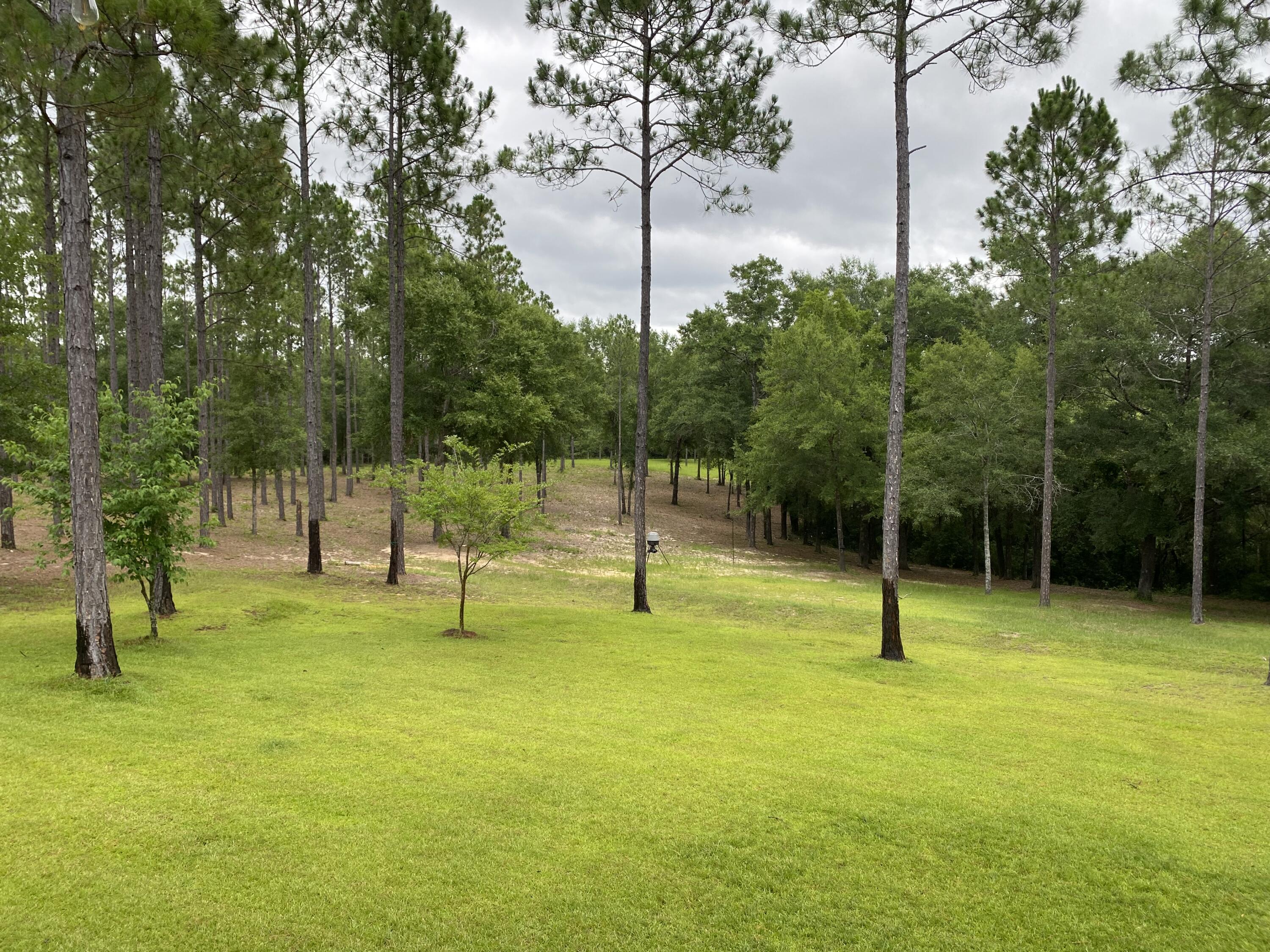 WALTON PLANTATION - Residential