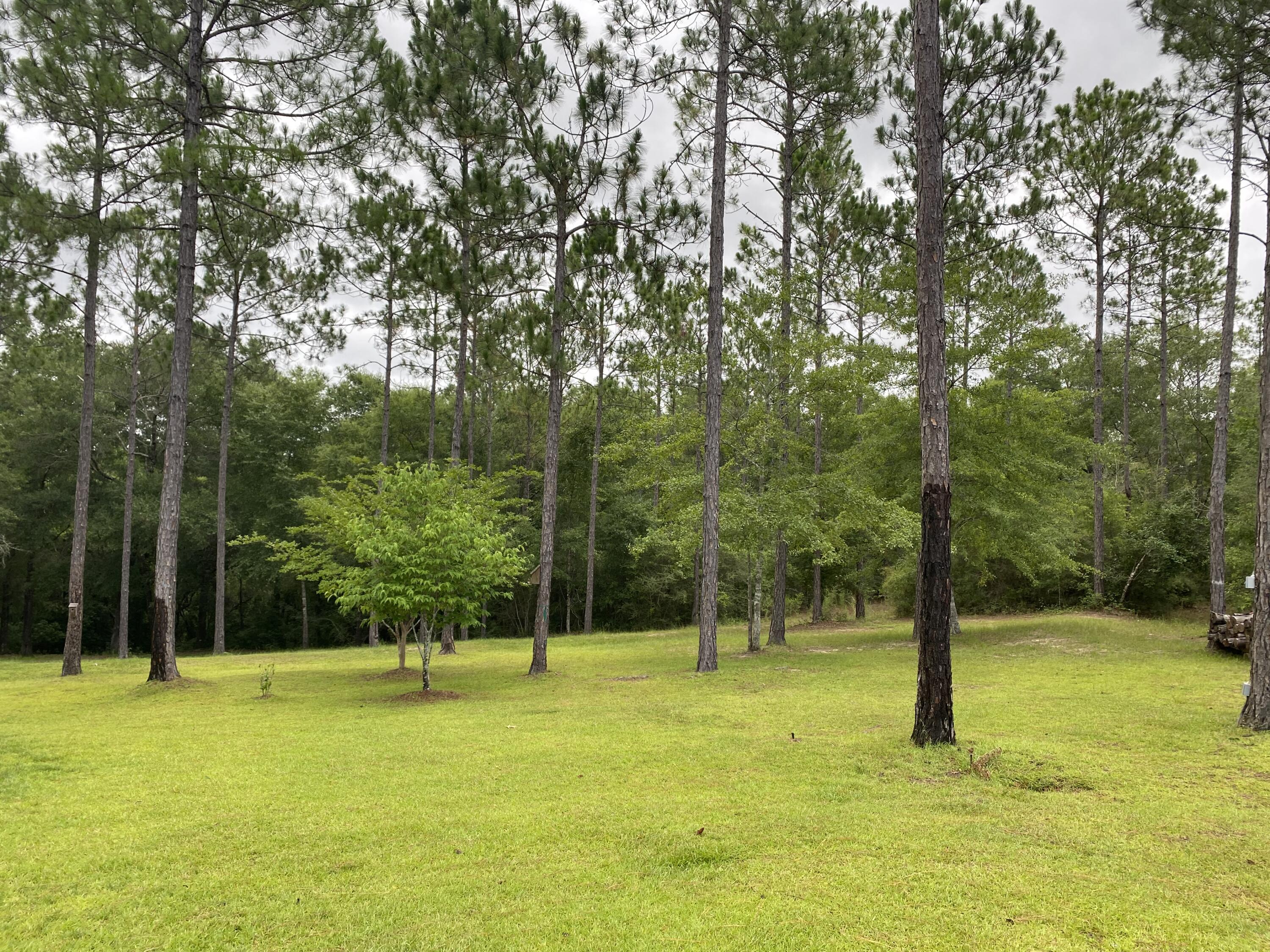 WALTON PLANTATION - Residential
