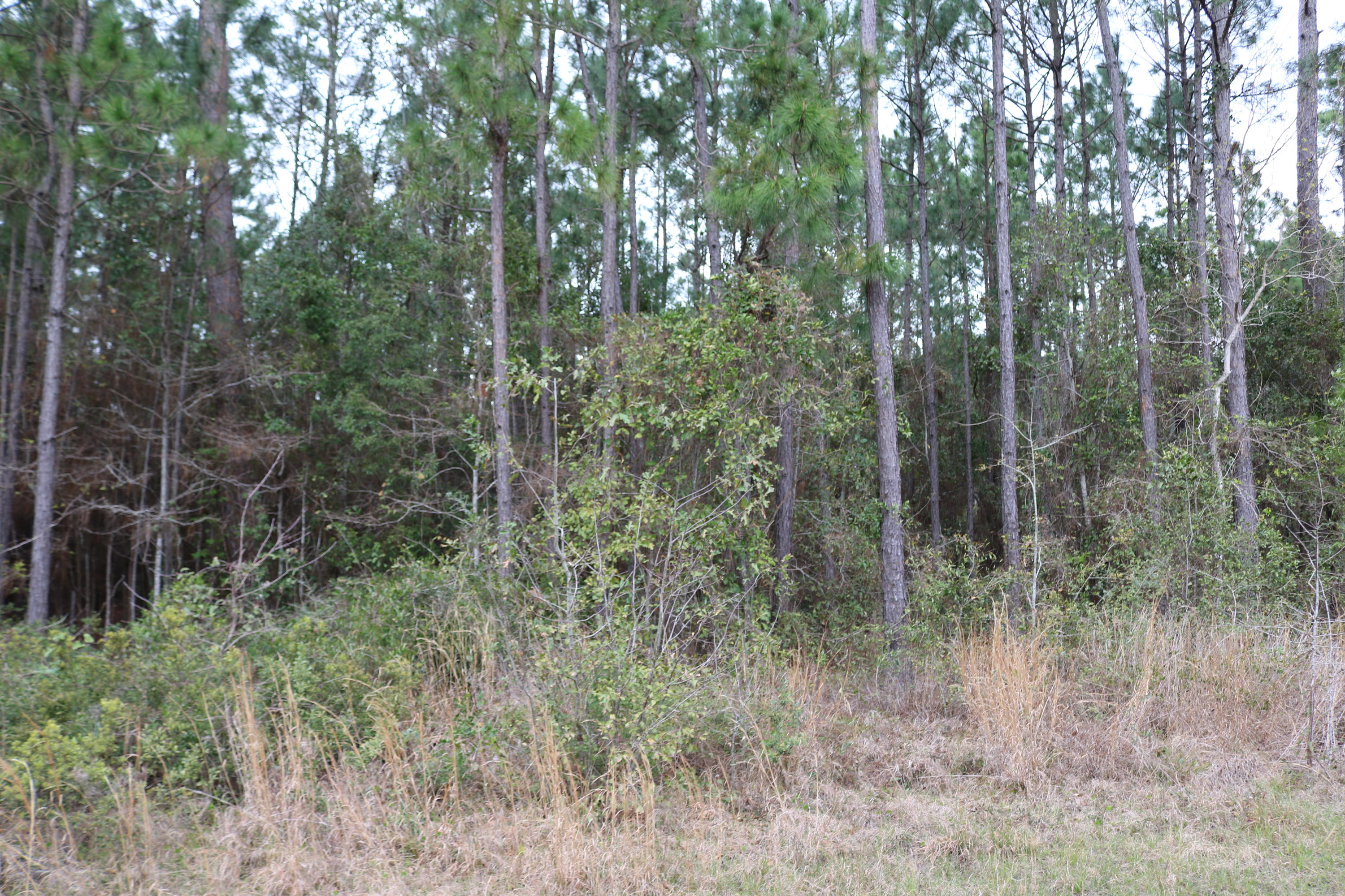 HARBOUR OAKS - Land