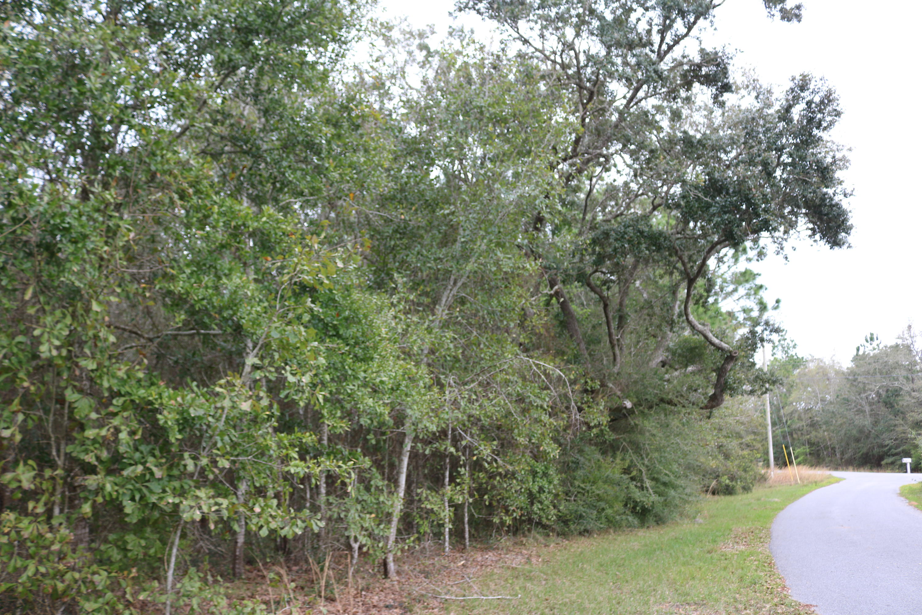 HARBOUR OAKS - Land