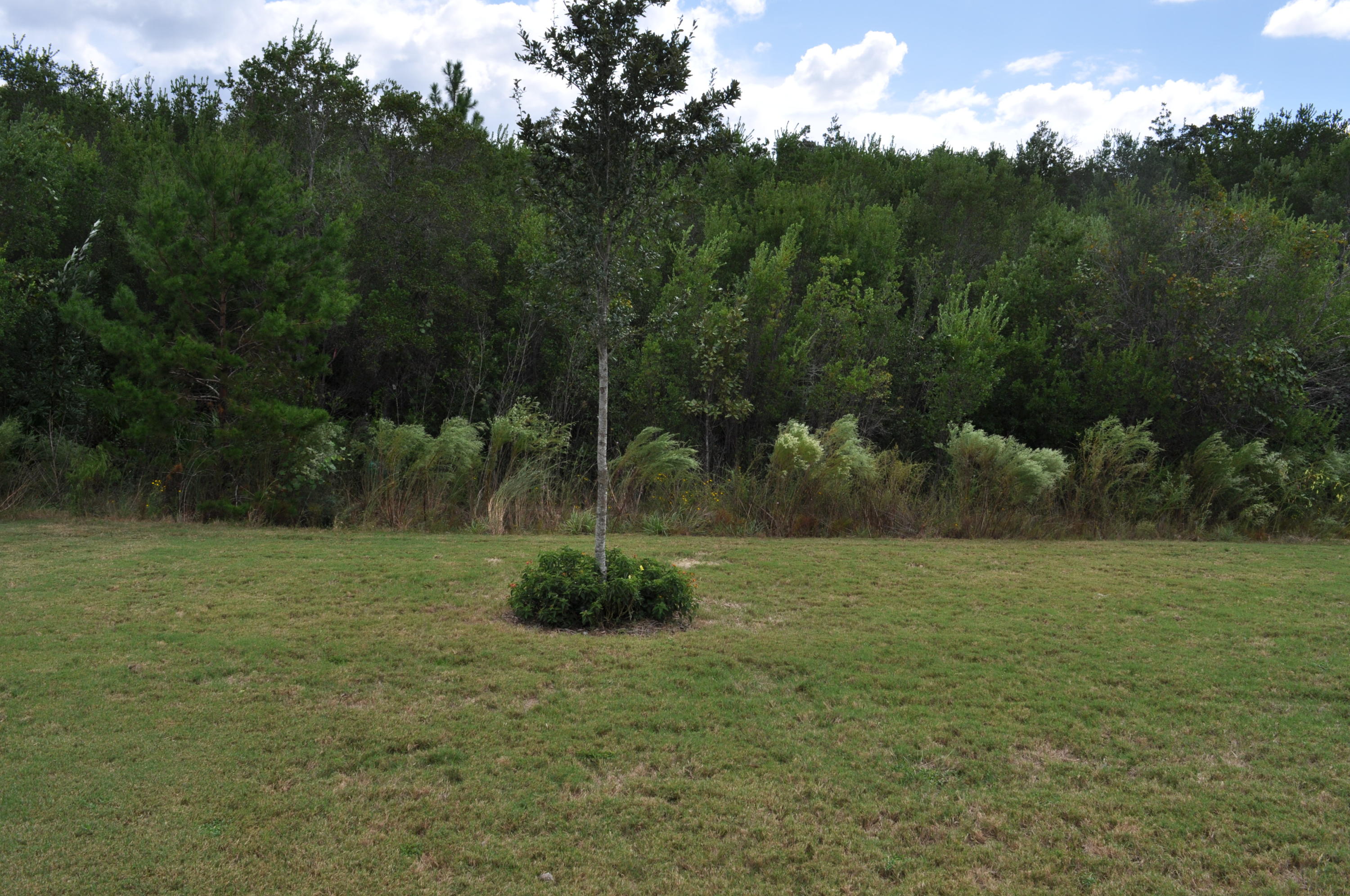 HAMMOCK BAY - Residential Lease
