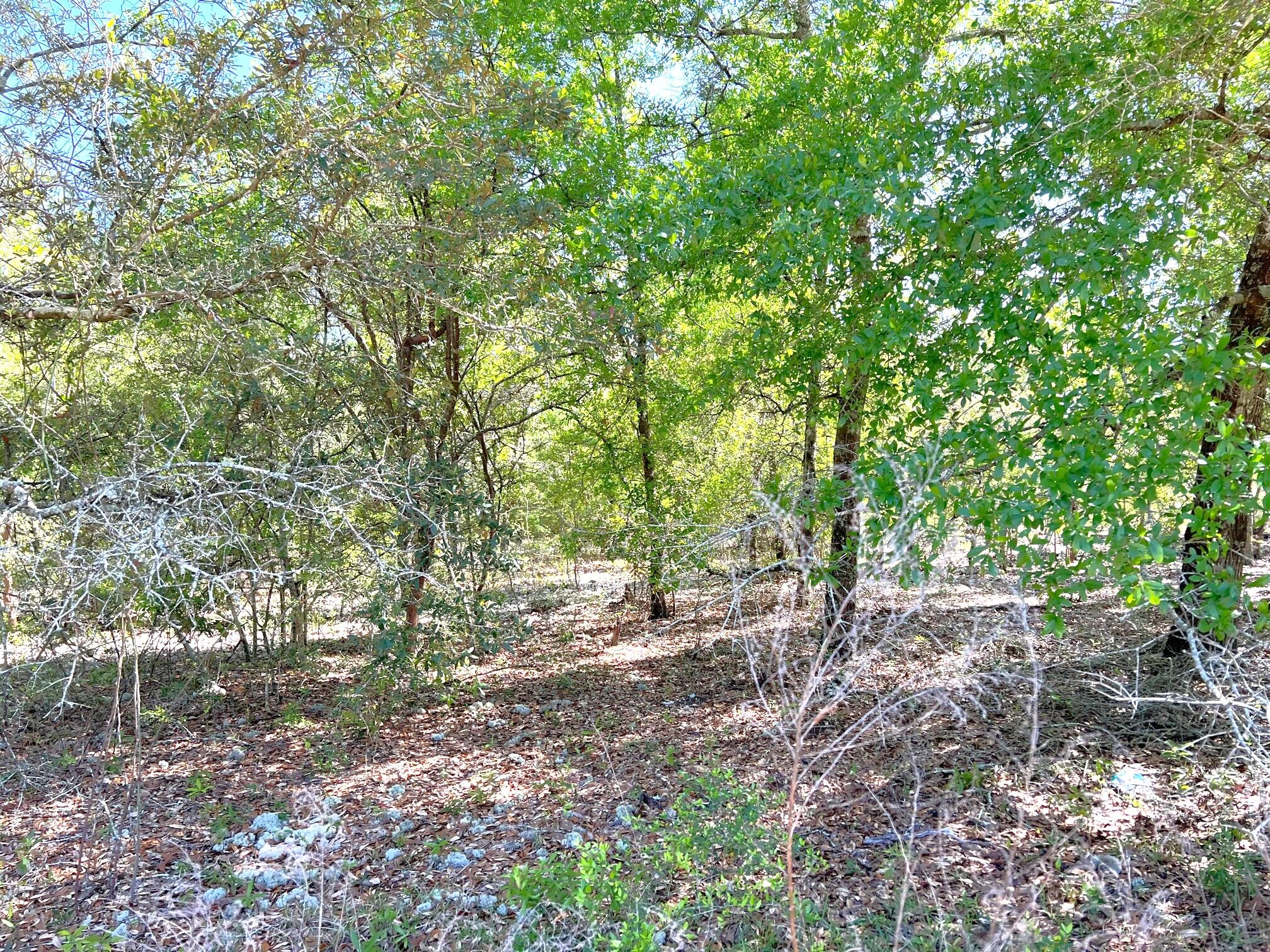 JUNIPER LAKE ESTATES UNIT 6 of Oakwood Hills - Land