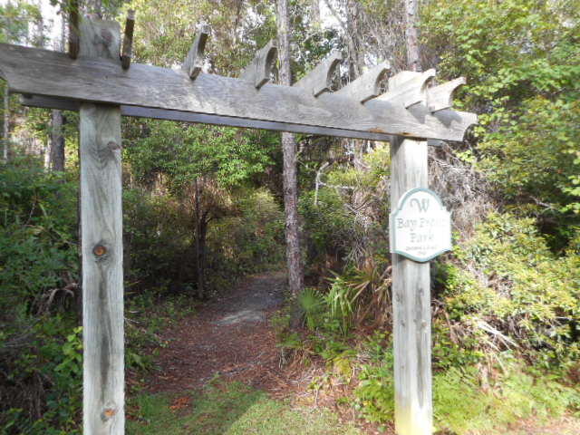 The Woods - Land
