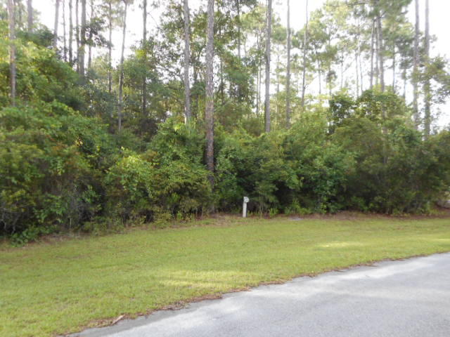 The Woods - Land