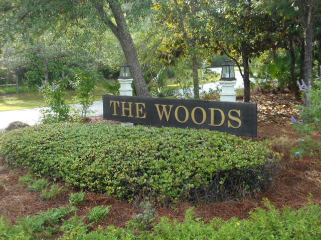 The Woods - Land