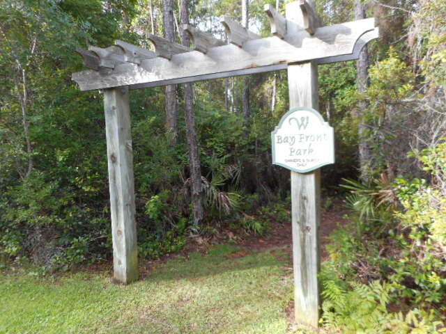 The Woods - Land