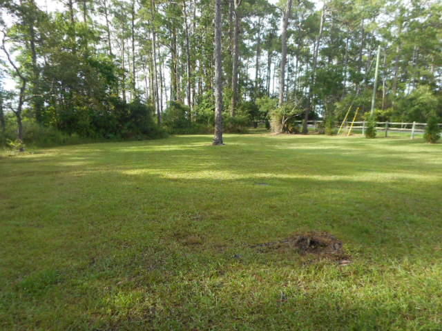 The Woods - Land