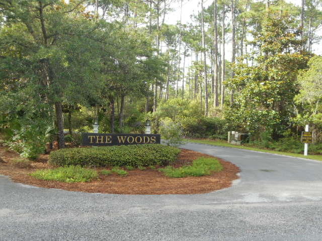 The Woods - Land
