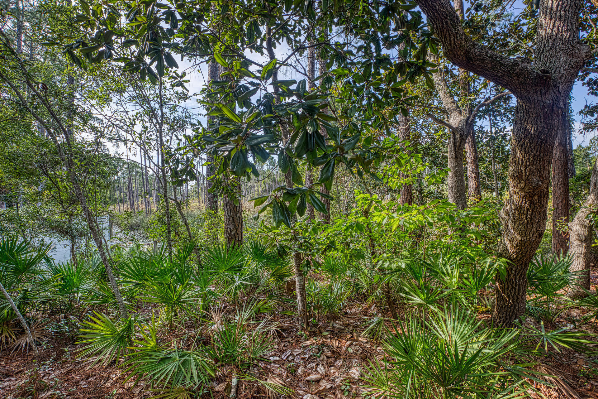 SEAGROVE SHORES 4TH ADD - Residential