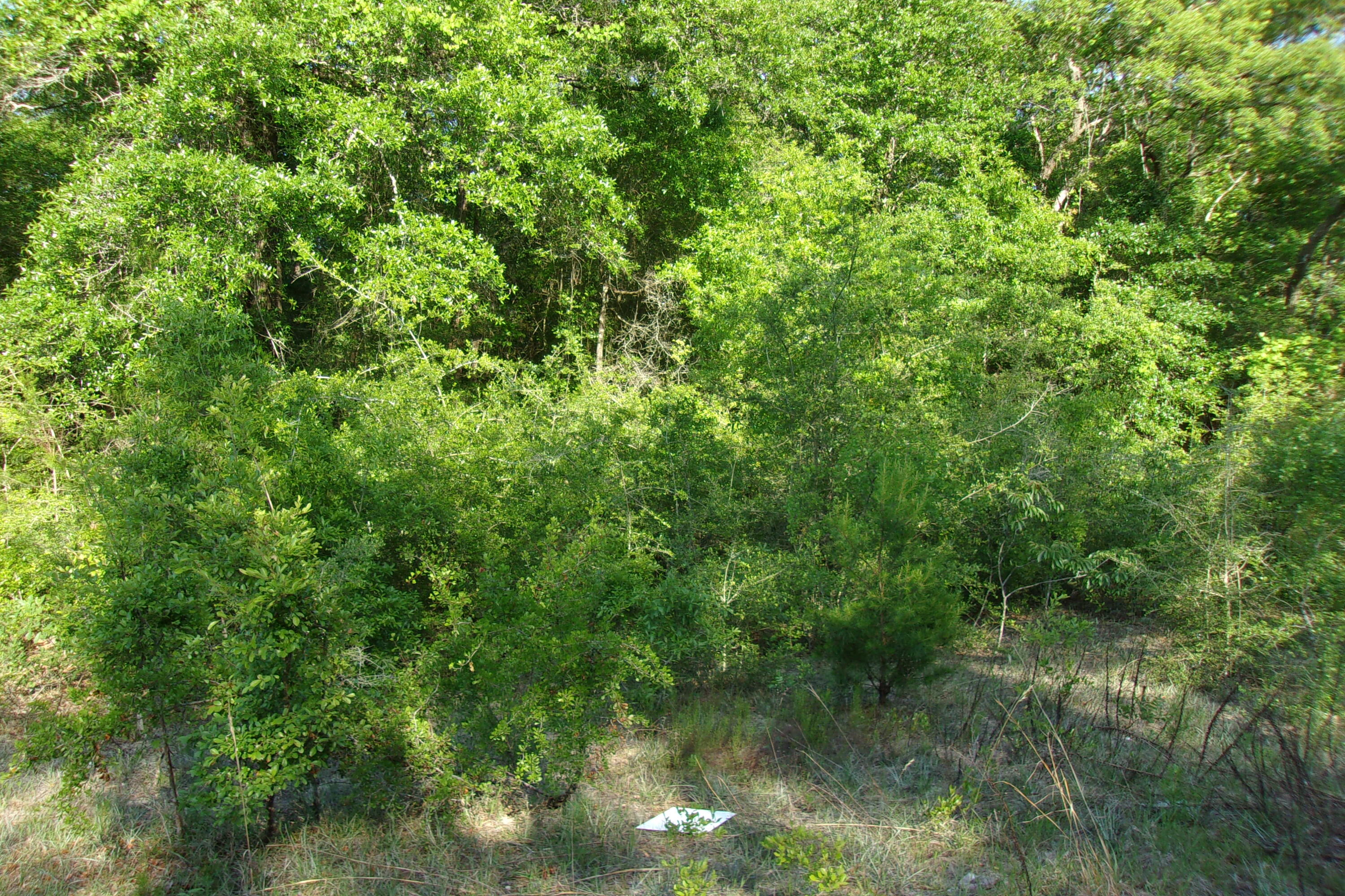 Just East of Crestview between Hwy 393 and Hwy 285~ There are 4 adjoining lots on Rosebud South~  There is power available, (power lines through out the area)~