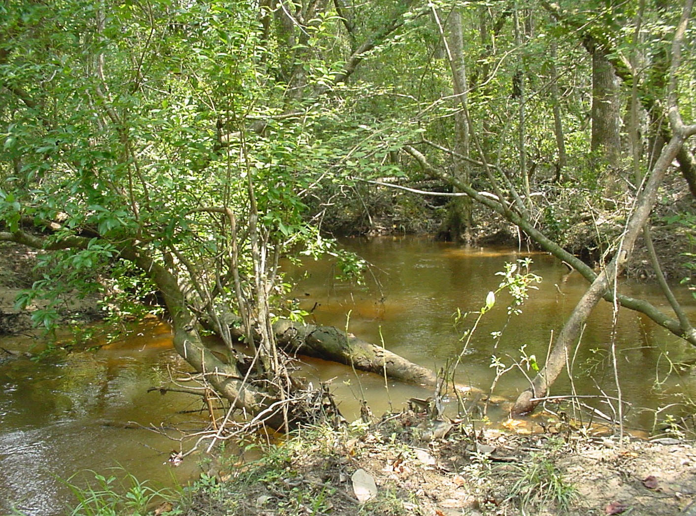 MATHISON CREEK ESTATES PH II - Land