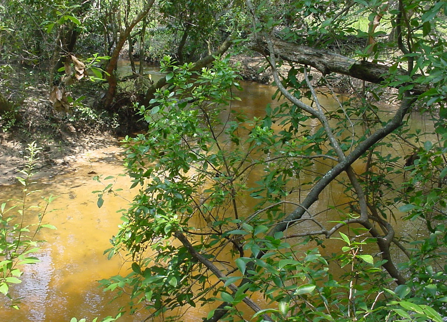 MATHISON CREEK ESTATES PH II - Land