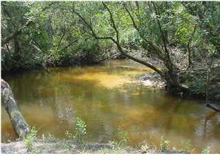 Beautiful 2.4 acre lot with a beautiful, large, crystal clear, sandy bottom creek in the back of the lot. There is electric, natural gas, phone, county water, and cable to the property. The houses in the neighborhood are ALL on at least 1 acre and do require septic tanks. Also there are restrictions on the size of the houses. The houses must be brick or stucco (no vinyl siding). The 100 year flood map shows the back acre+- in a flood zone (this is because of the creek that runs along the back of the property). The front acre is NOT on the 100 year flood map. Please check with authorities to see if flood insurance is required. NO flood insurance was required for either of the houses next door, nor across the street. The property also has a very UNIQUE artifact on it. Halfway into the property is reminisce of an old steam driven saw mill, called a ''Pecker Mill''. The concrete foundation including the bolts still remains. Also remaining is the platform for the saw blade. Several bricks and pieces of pipe and relics of saw blades are abundant on the property. The bricks where part of the chimney that provided fire to boil and then to produce steam to turn the blade. Using a metal detector, I and the local historical organization in Baker, were able to find oxen rings, saw blades, hammers, wrenches, and other types of tools. This saw mill dates back to 1910 and was nicely preserved under 6-8 inches of dirt. The logs where cut from the area, dragged by the ox to the creek in the back of the lot, and then floated to the Yellow River (which is less than a mile west) and then floated down to the local lumber factory. If you would like to have some 100 year old history in your back yard, this would be the lot!! See the pictures, or call the owner/agent for more details about this finding on the property. Owner is a licensed Real Estate Broker.    Listing Broker/Salesperson has ownership interest in the property.