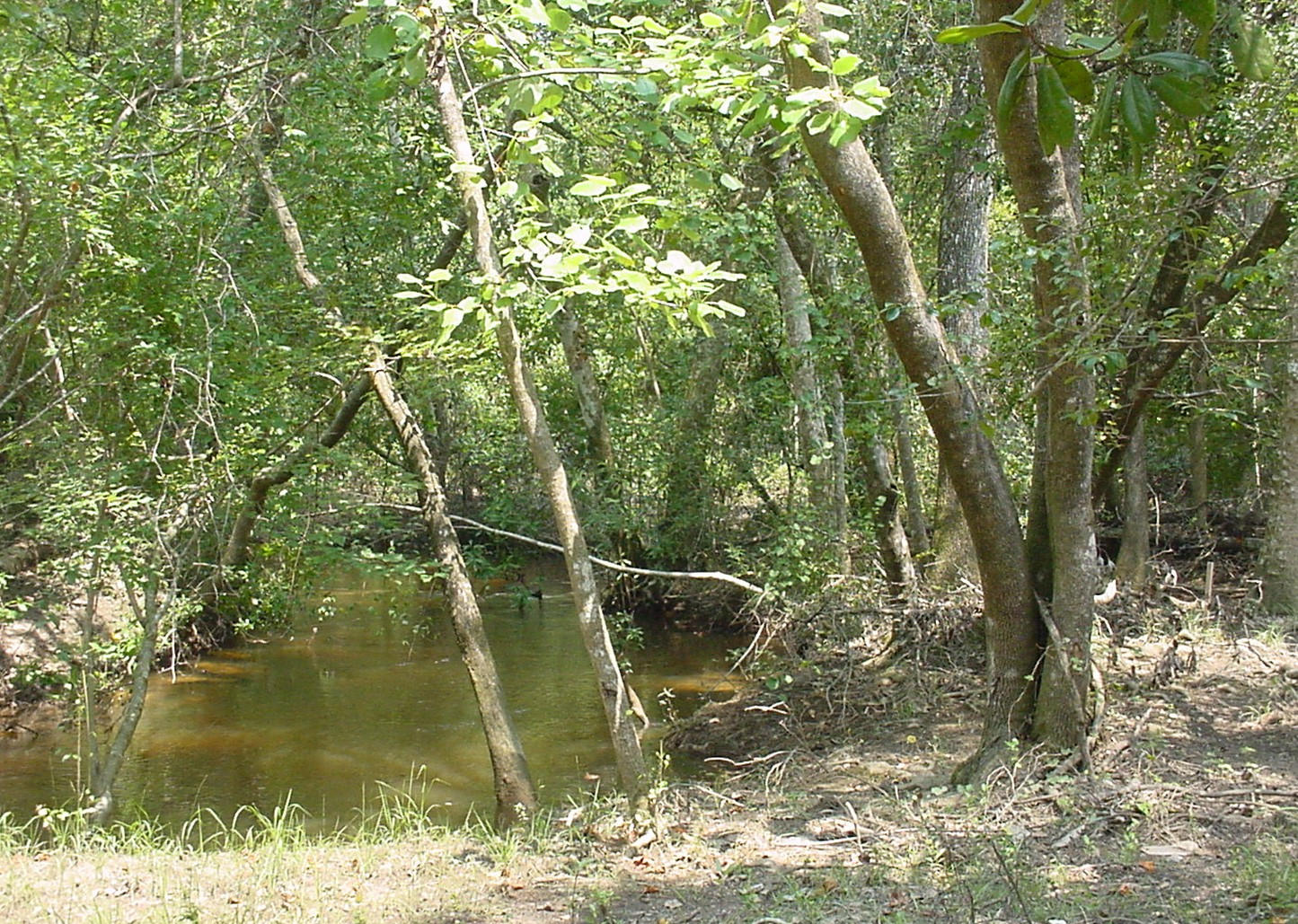 MATHISON CREEK ESTATES PH II - Land
