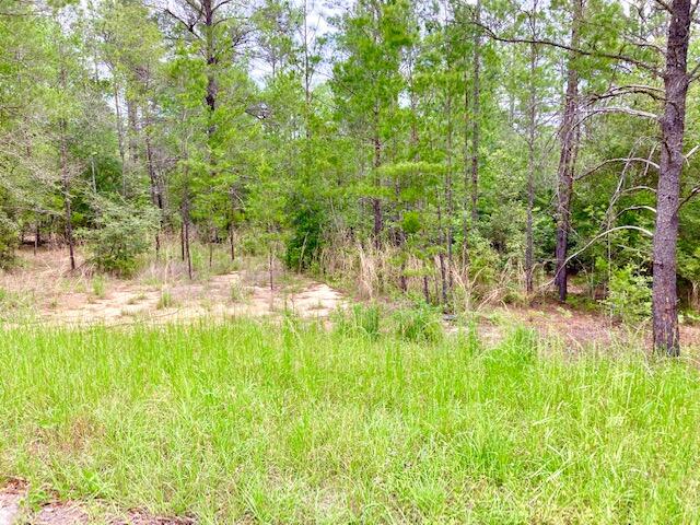 OAKWOOD HILLS UNIT 3 - Land