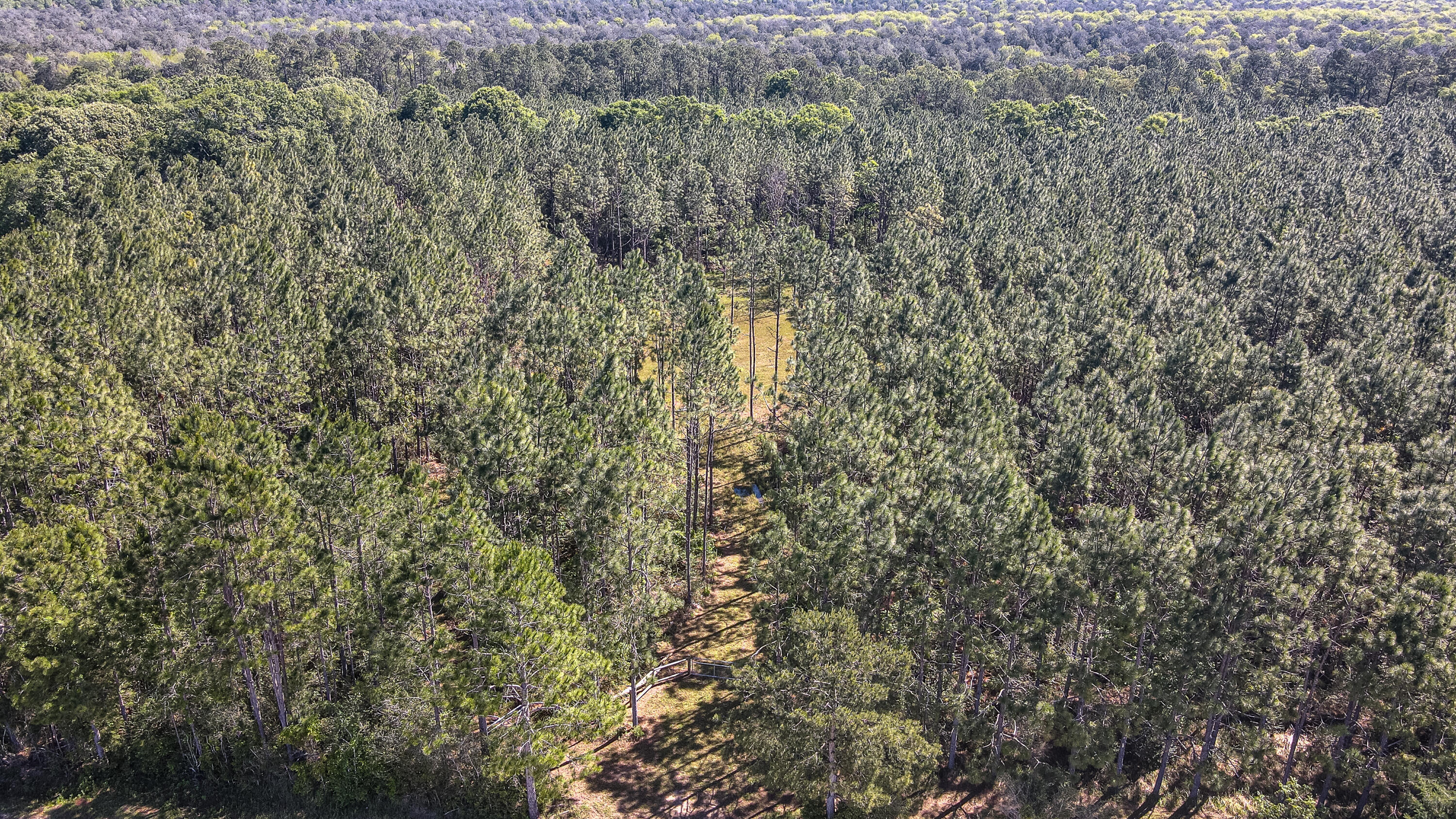DeFuniak Springs - Land