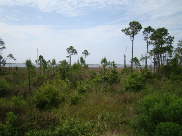 MARSH HARBOR - Residential Lease